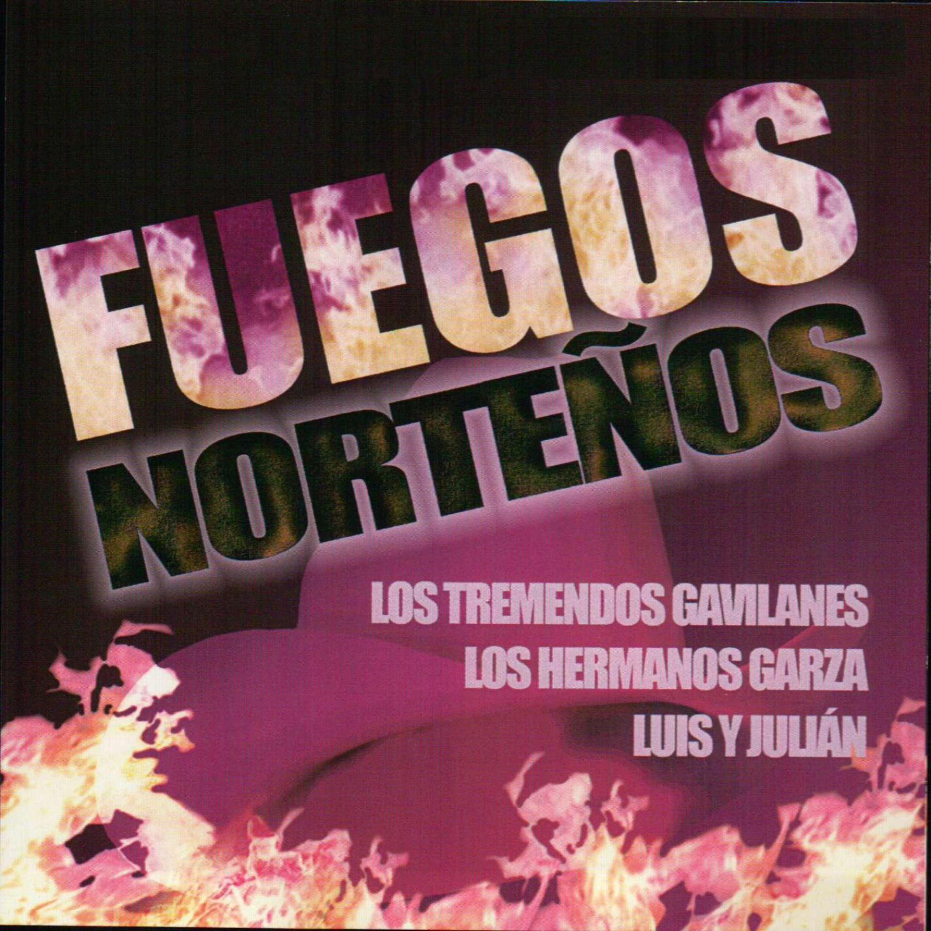 Постер альбома Fuegos Norteños