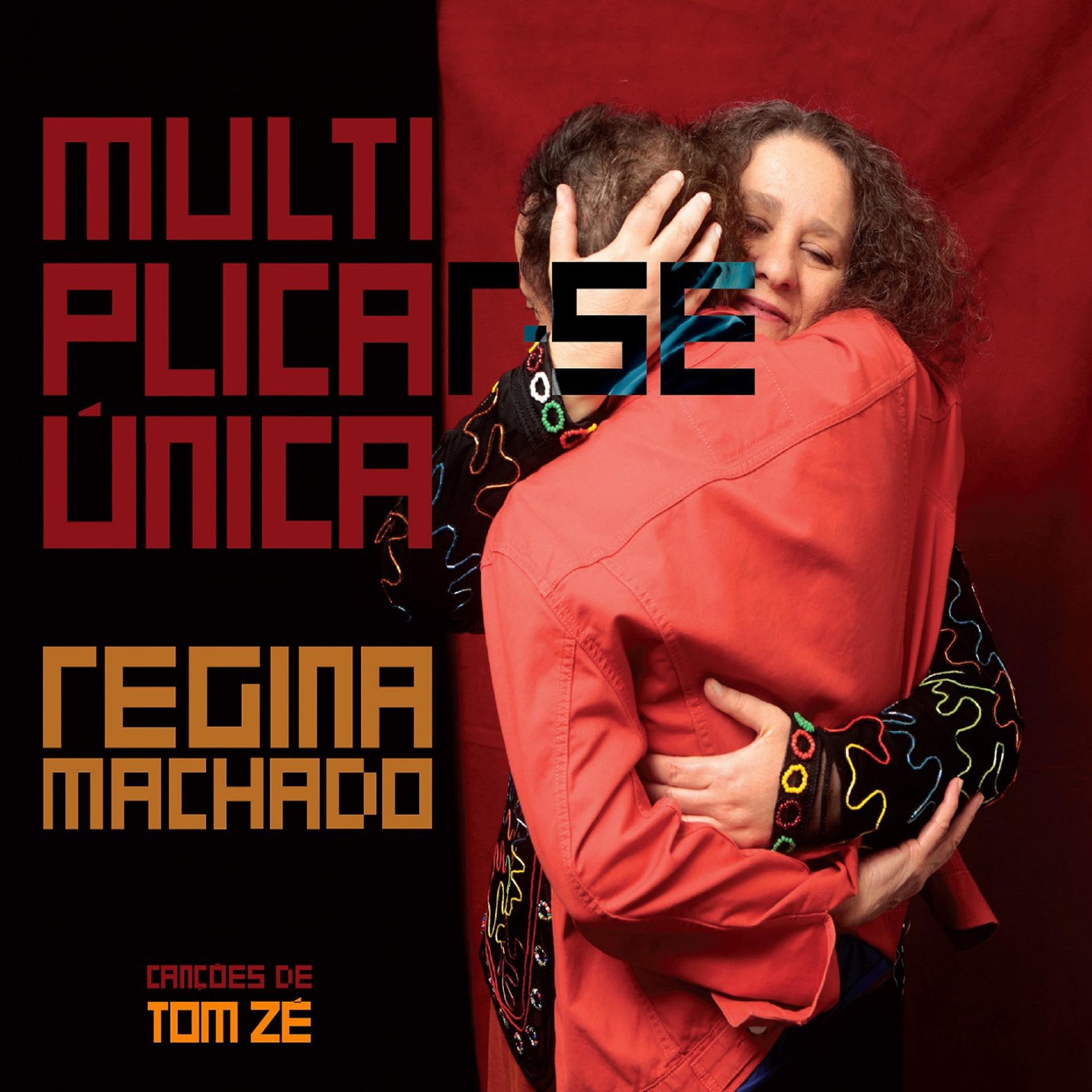 Постер альбома Multiplicar-Se Única - Canções de Tom Zé