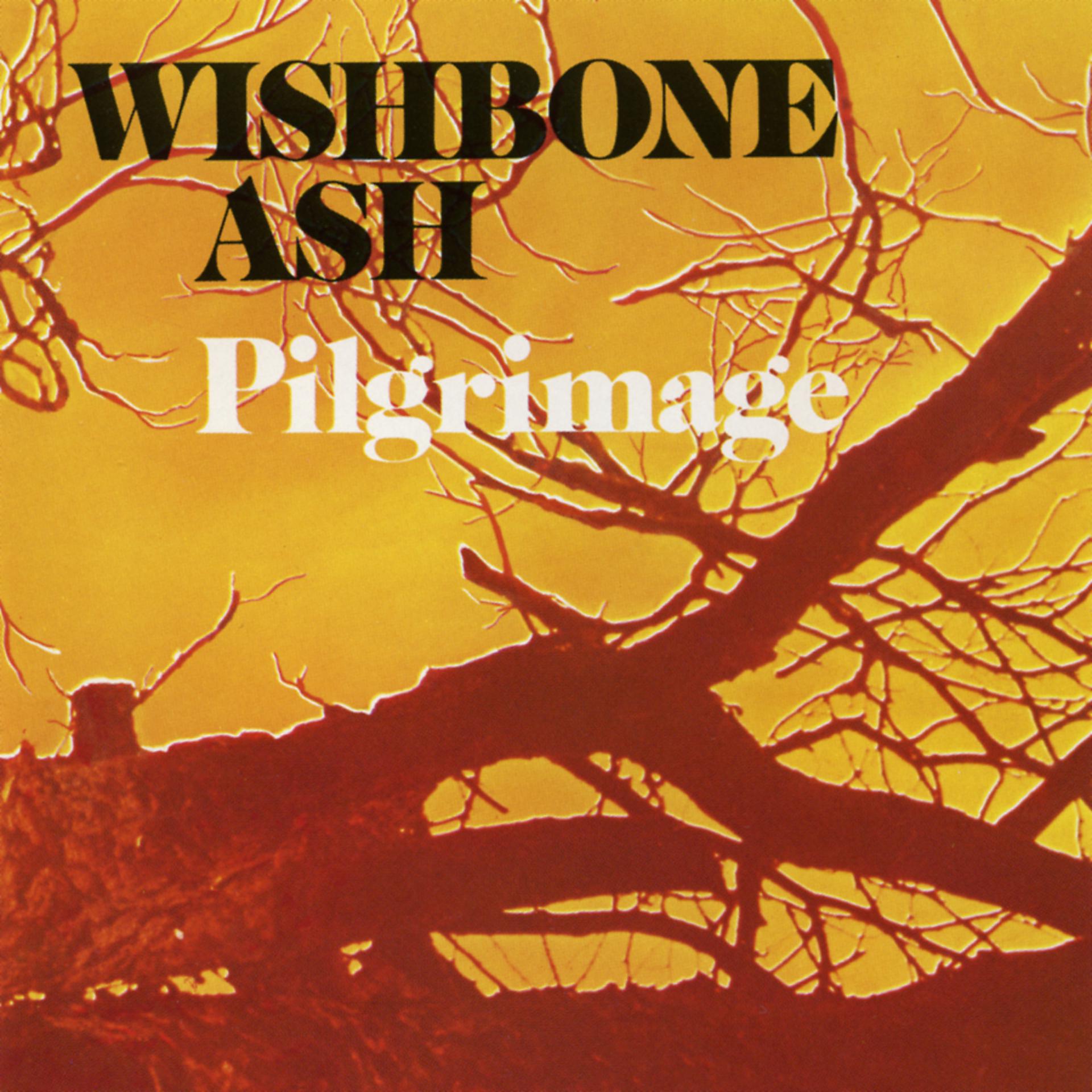 Постер альбома Pilgrimage