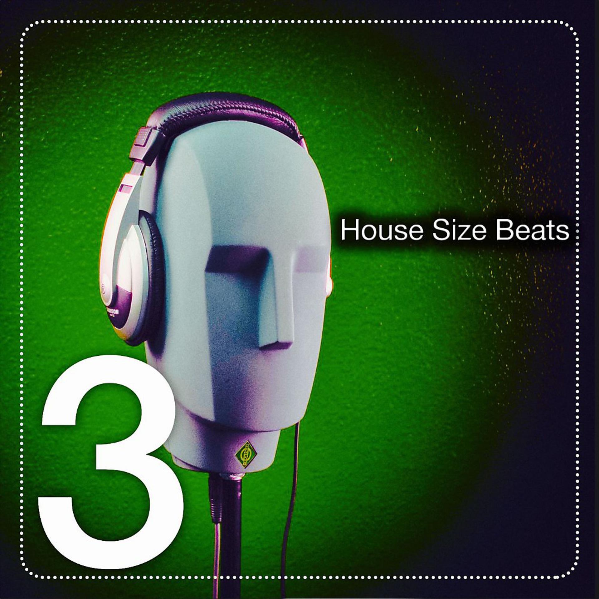 Постер альбома House Size Beats, Vol. 3 (The House Beats)