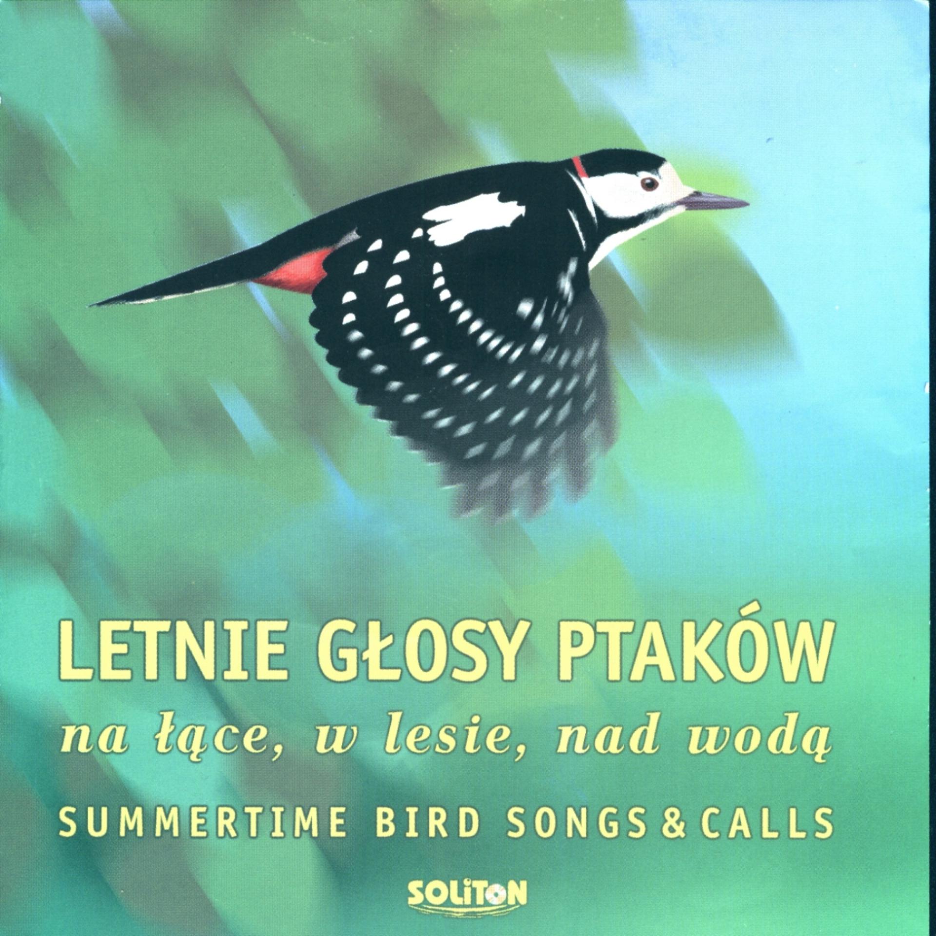 Постер альбома Summertime Bird Songs & Bird Calls