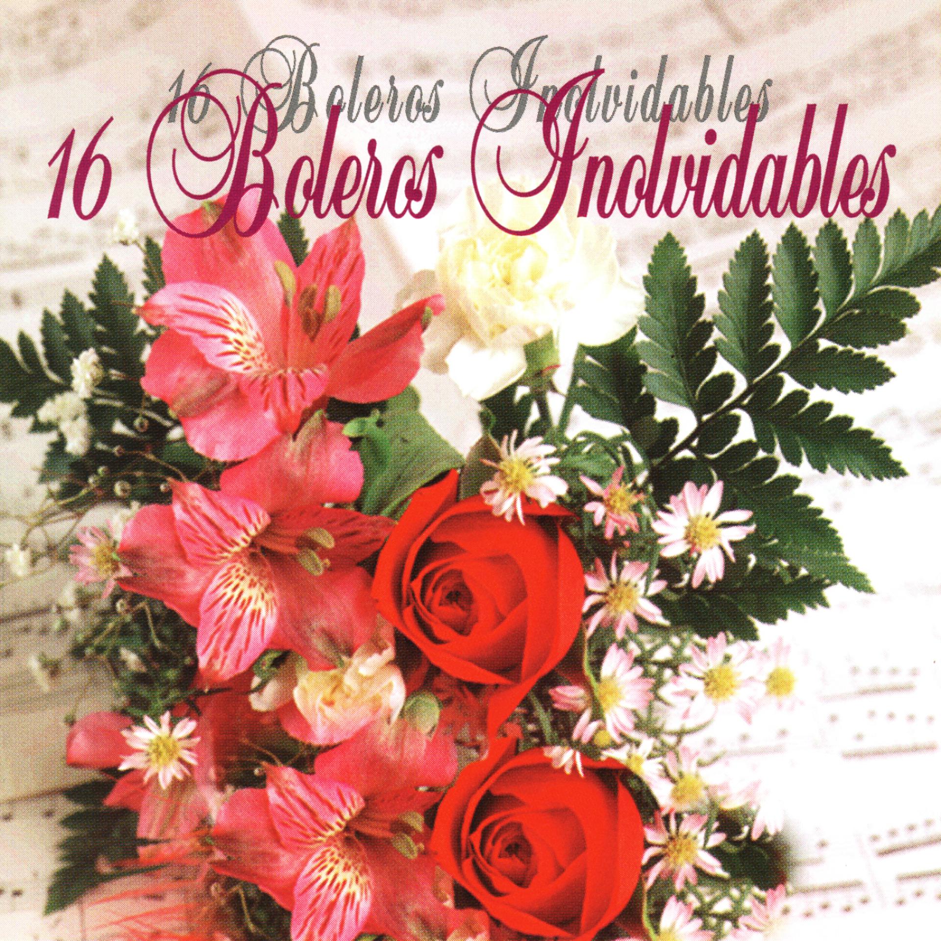 Постер альбома 16 Boleros Inovidable