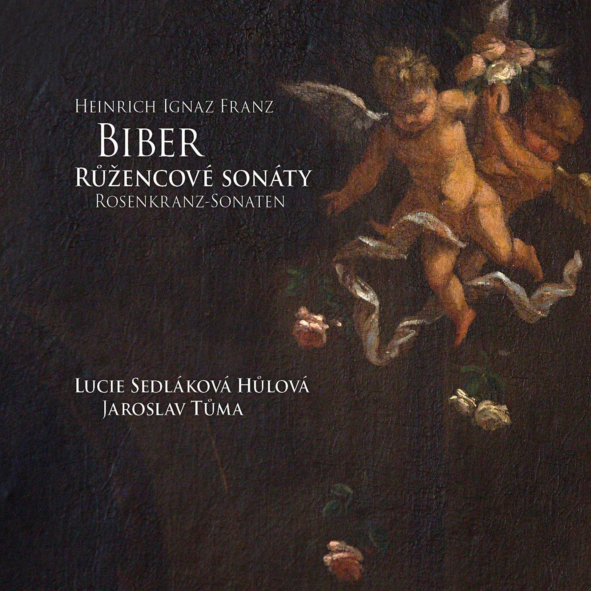 Постер альбома Biber Rosary Sonatas