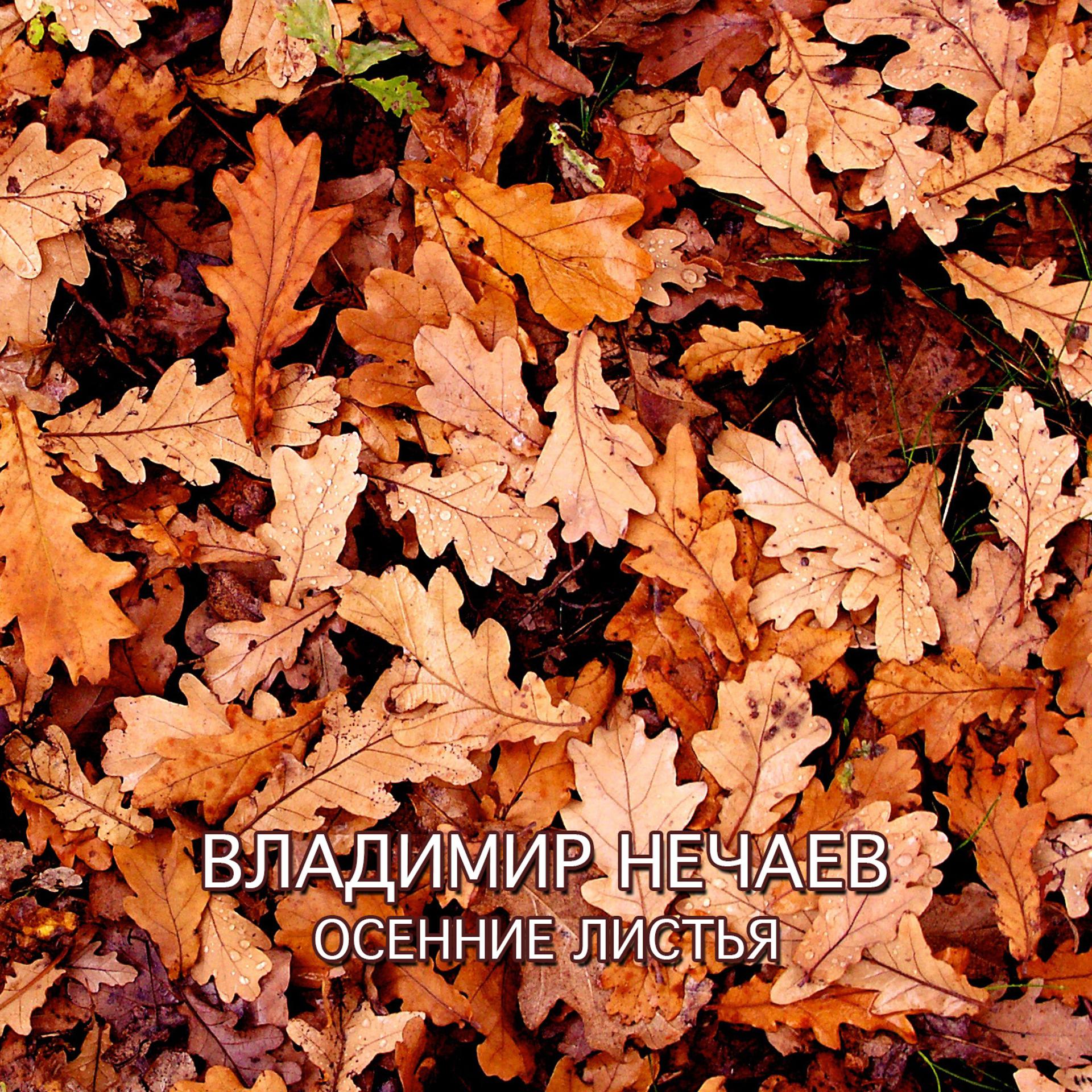 Постер альбома Осенние листья