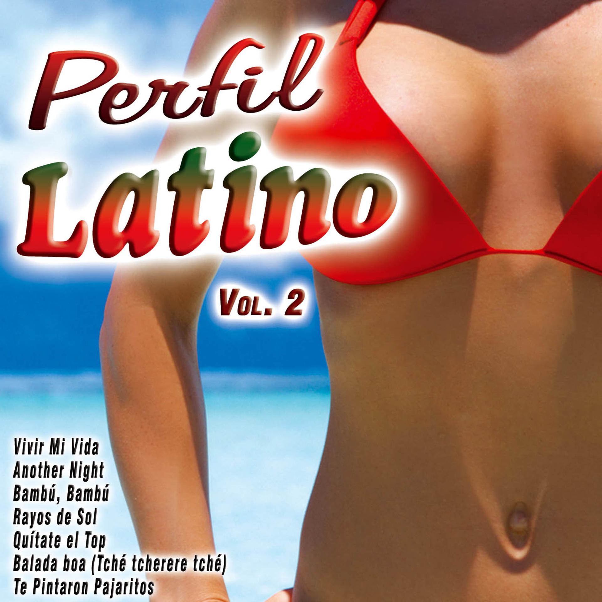 Постер альбома Perfil Latino Vol. 2