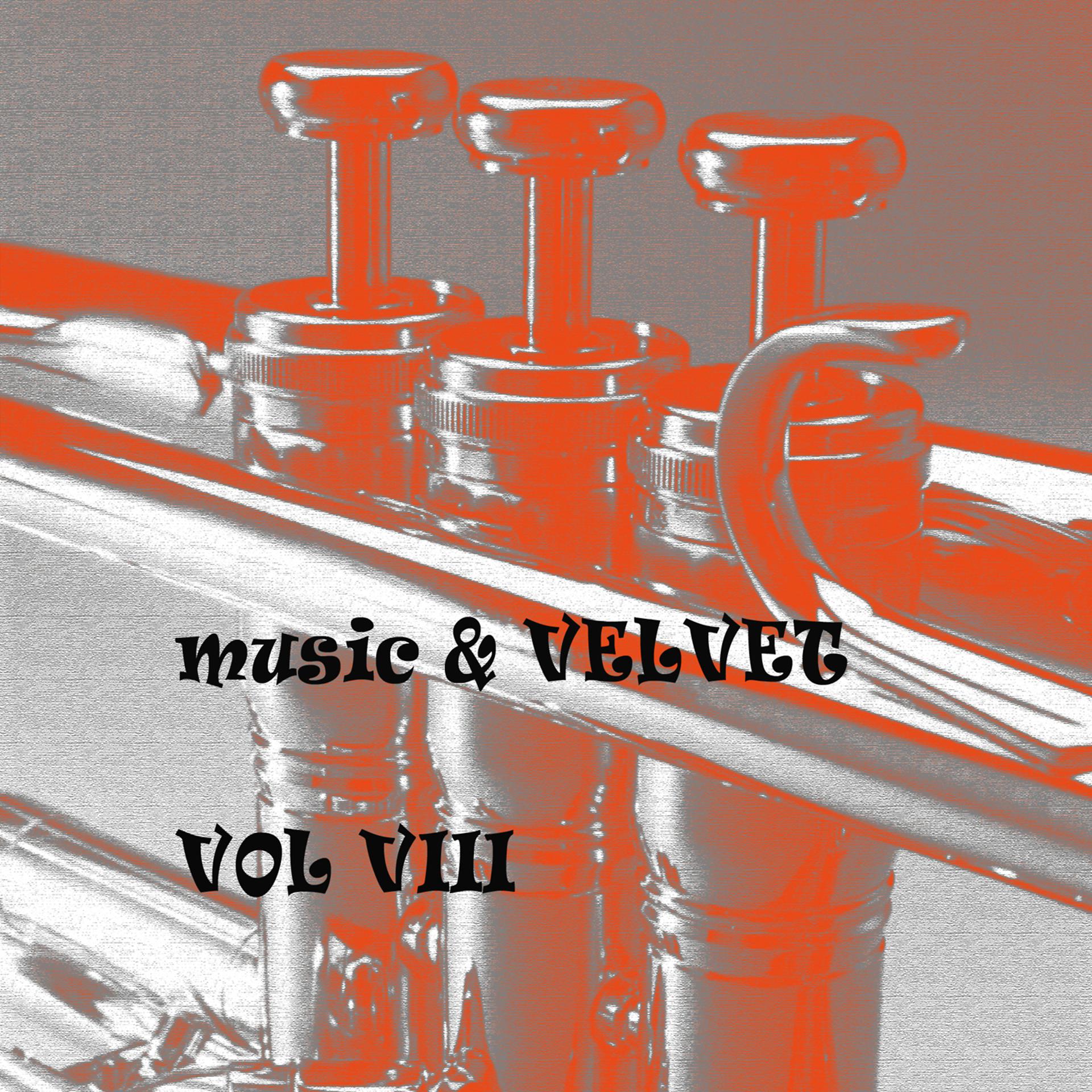 Постер альбома Music & Velvet  Vol. VIII