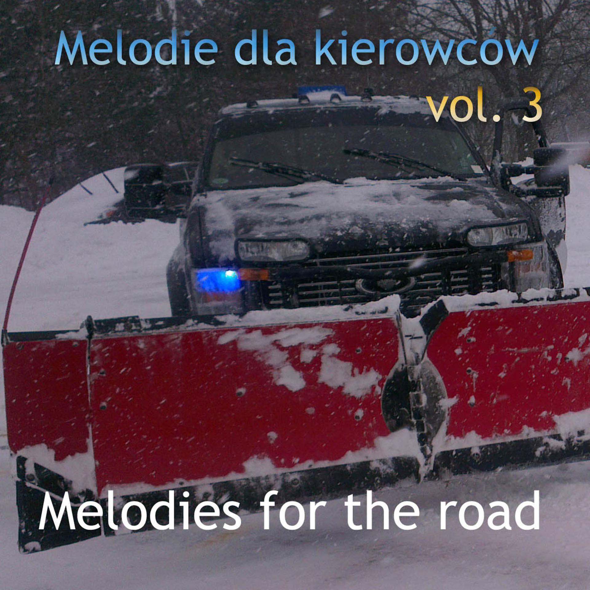 Постер альбома Melodie dla Kierowców vol. 3. Melodies for the road