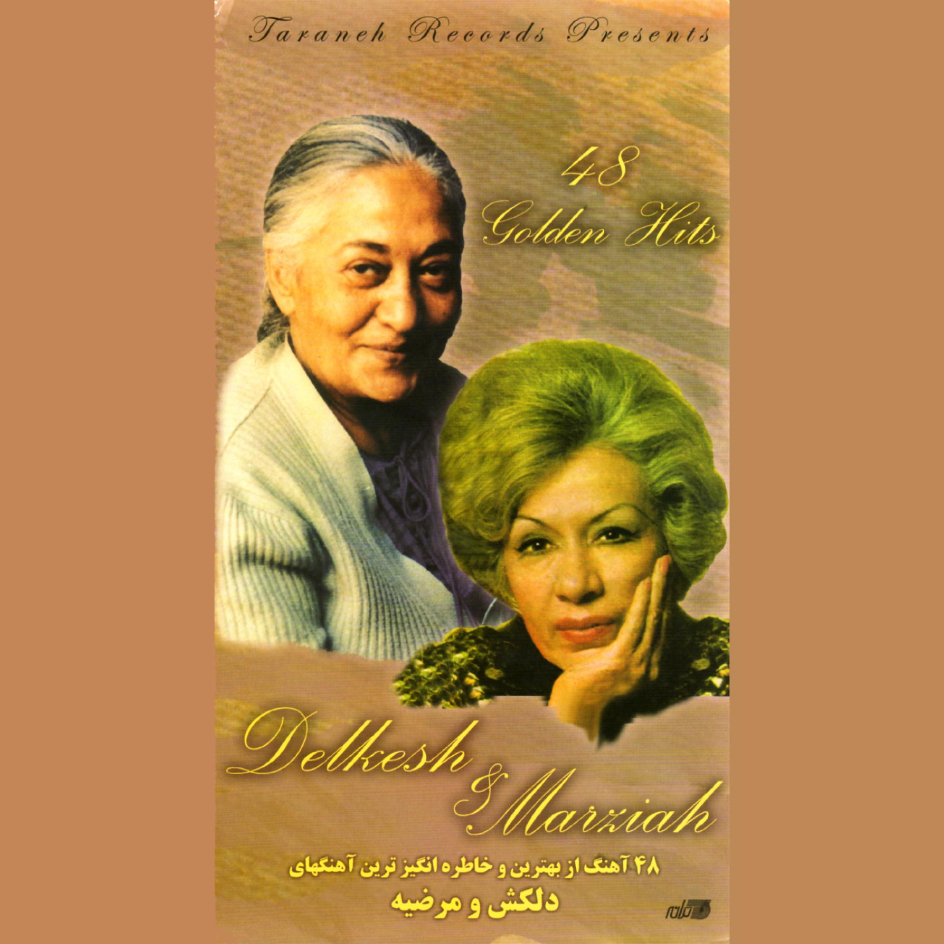 Постер альбома 48 Golden Hits of Delkesh & Marziah