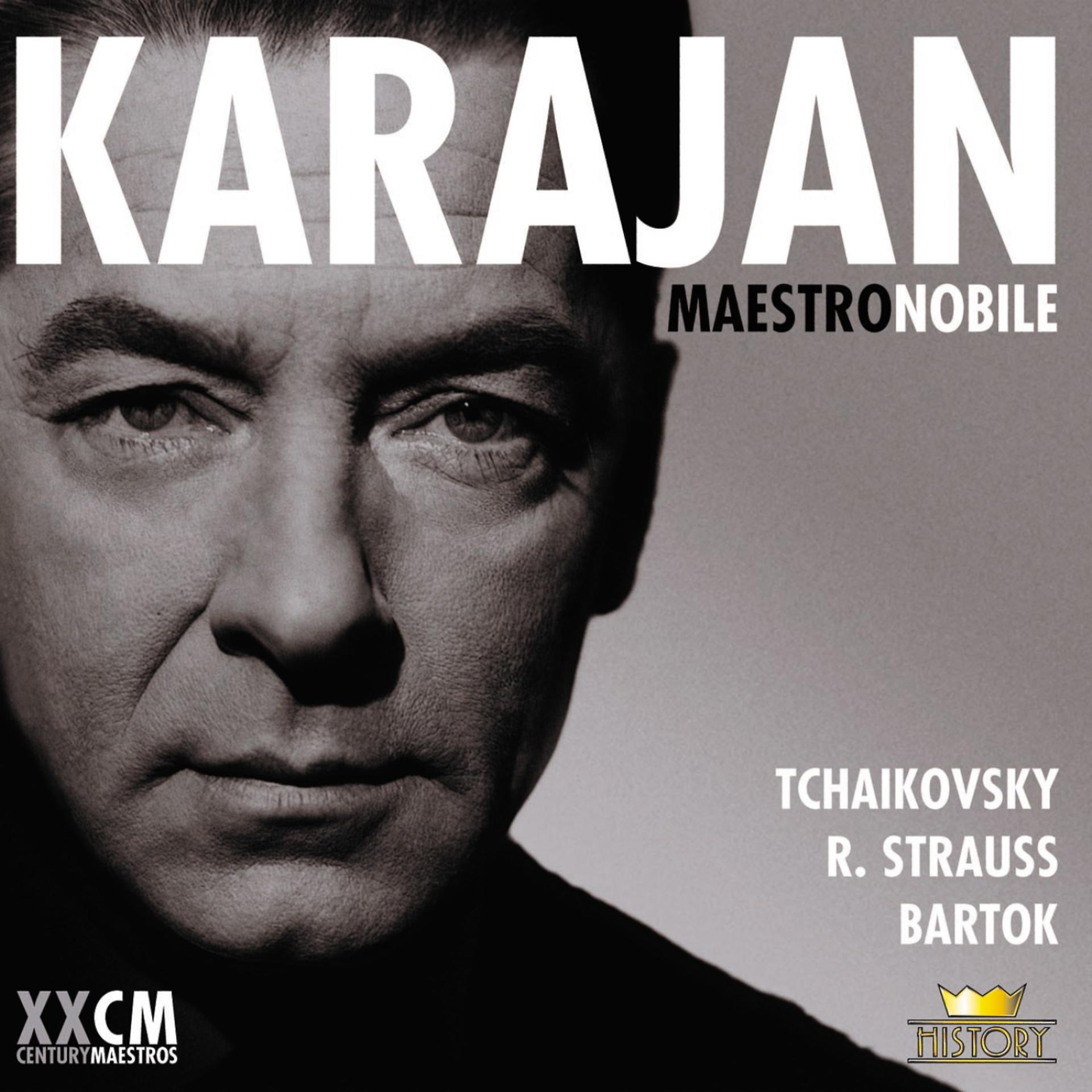 Постер альбома Herbert von Karajan Vol. 5
