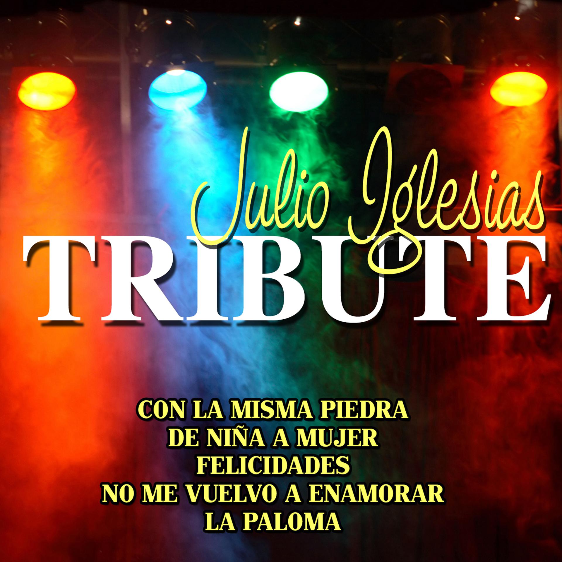 Постер альбома Julio Iglesias Tribute