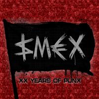 Постер альбома XX Years of Punx (Live)
