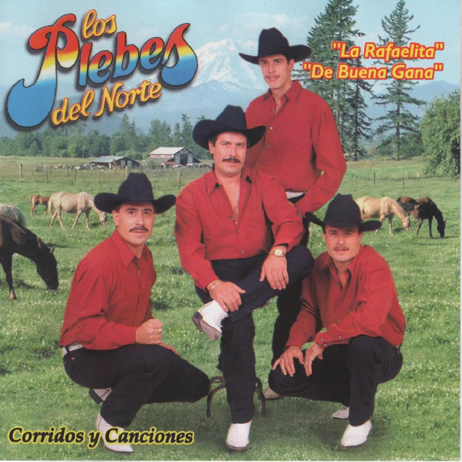 Постер альбома Corridos y Canciones