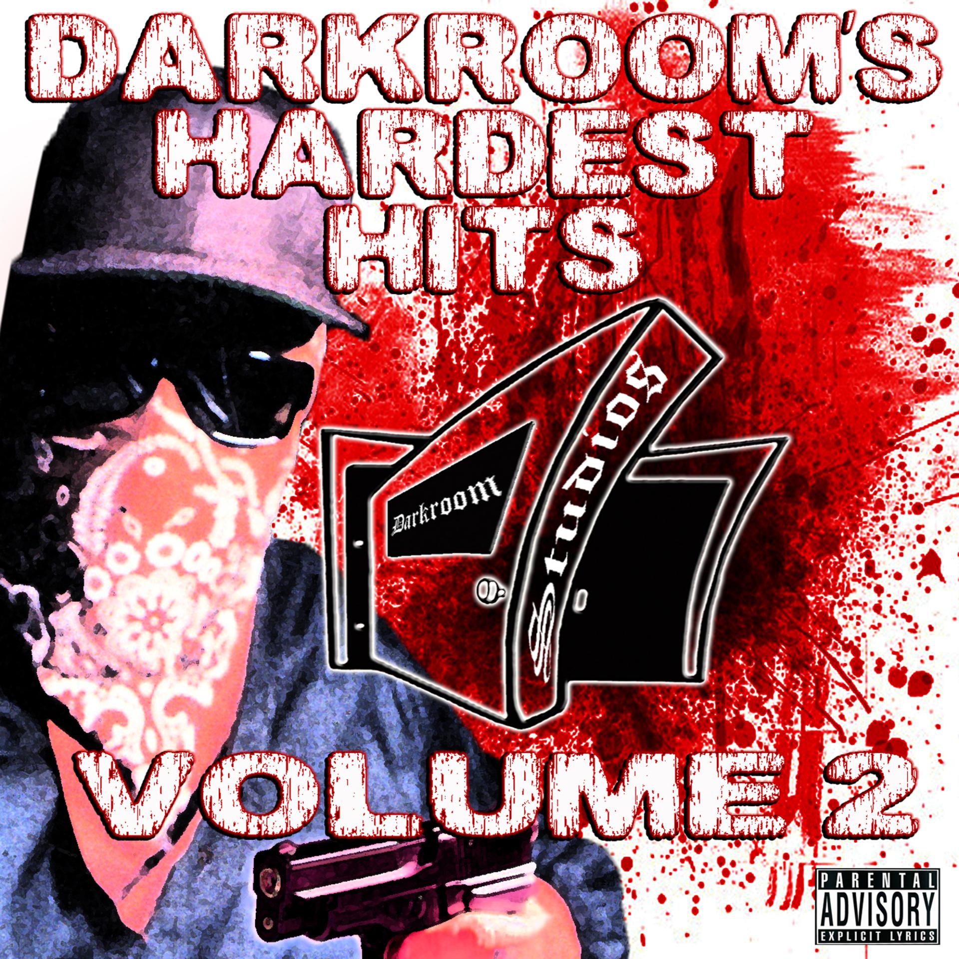 Постер альбома Darkroom's Hardest Hits, Vol. 2