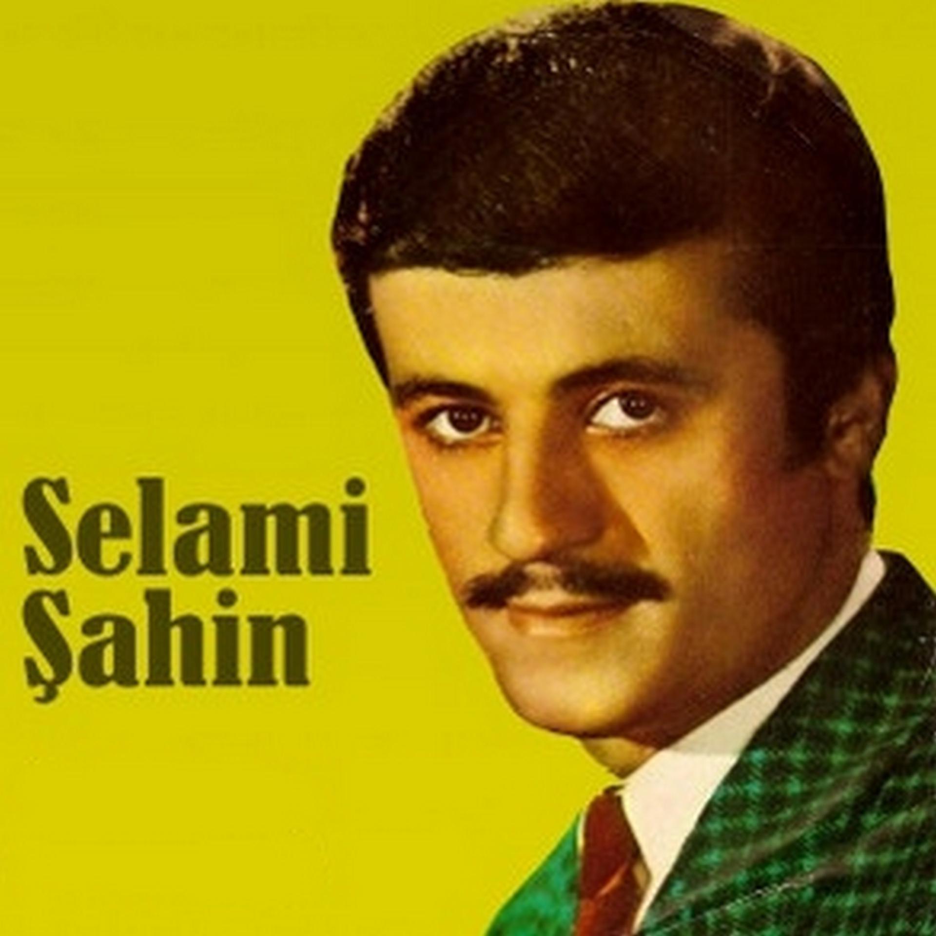 Постер альбома Sabır Taşı