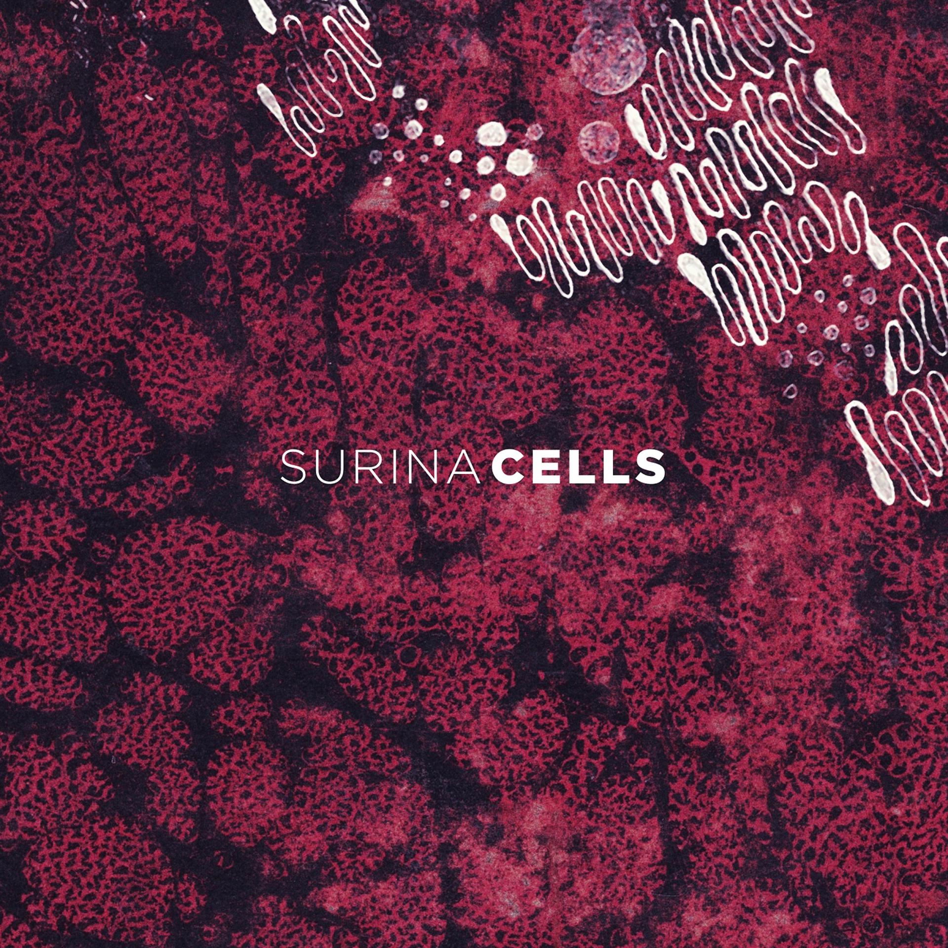 Постер альбома Cells