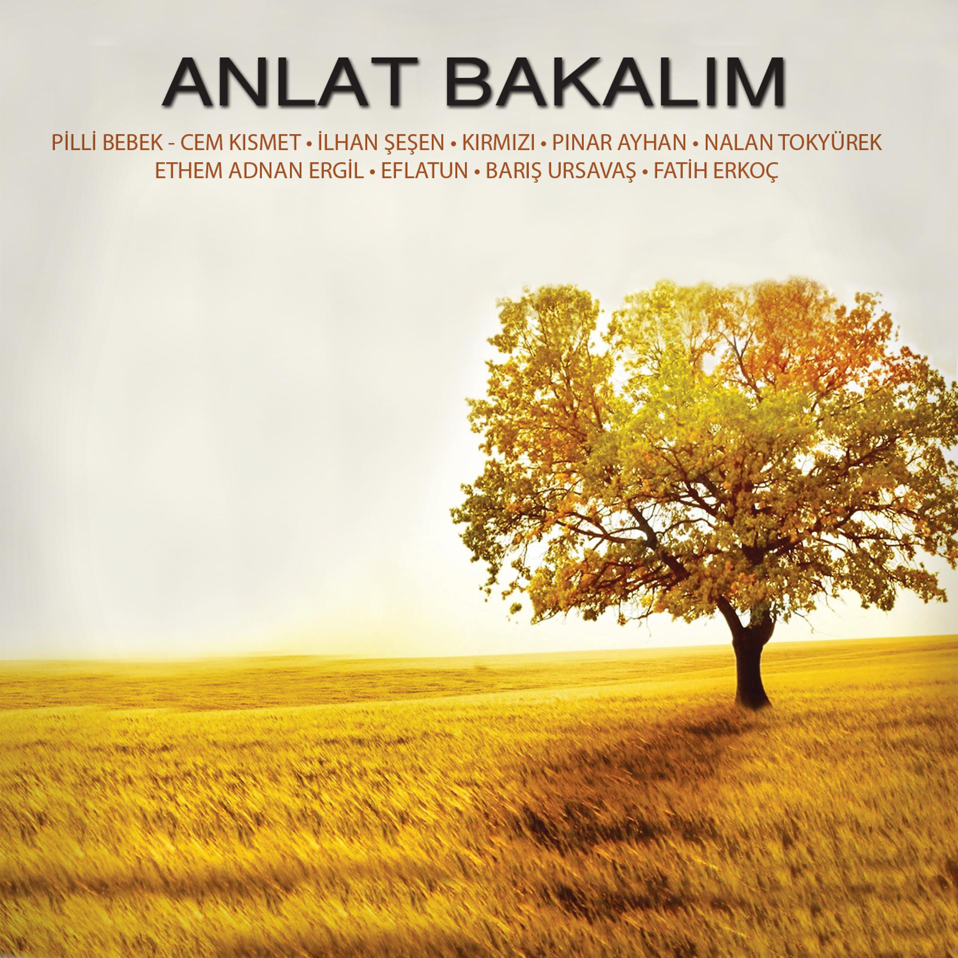 Постер альбома Anlat Bakalım