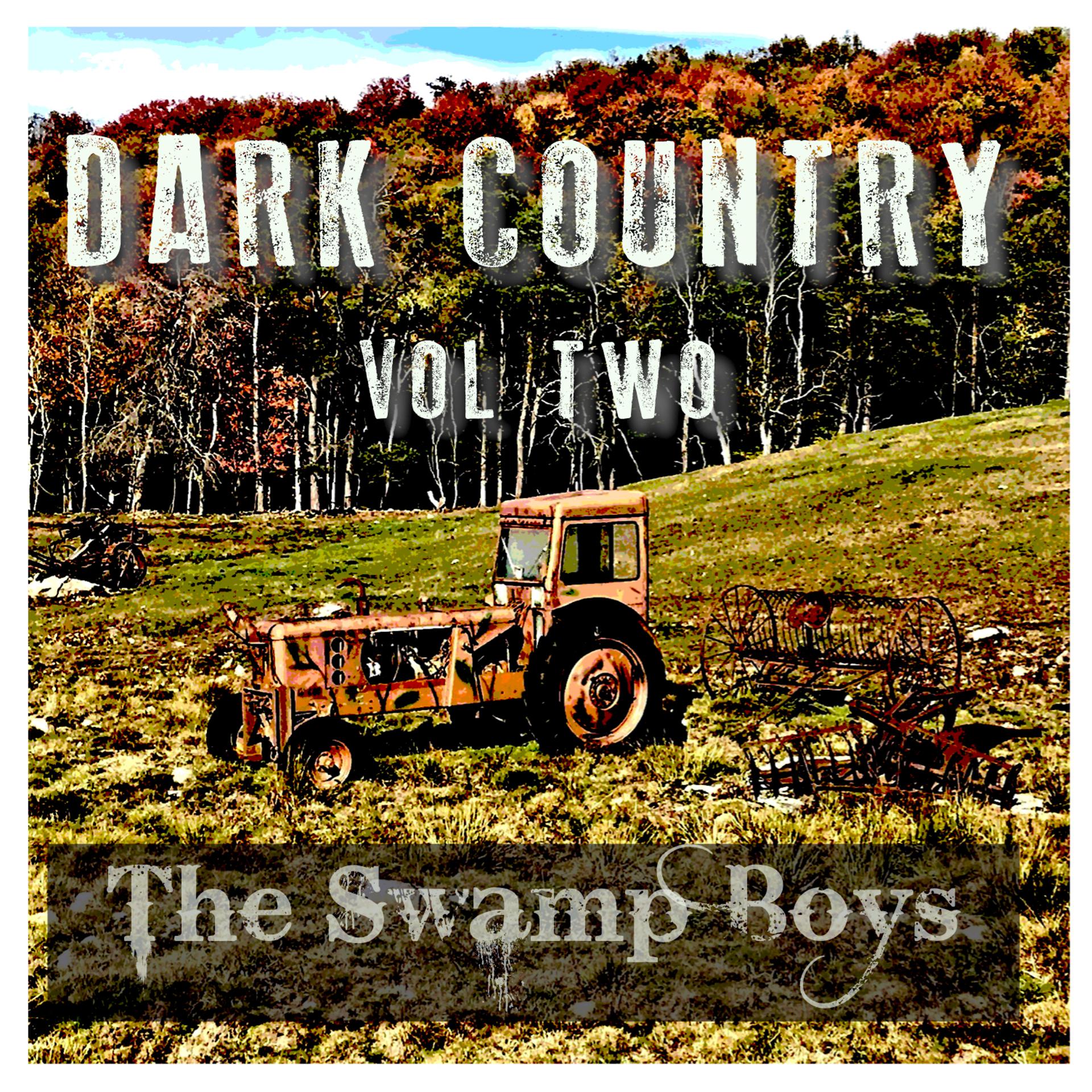 Постер альбома Dark Country, Vol. 2