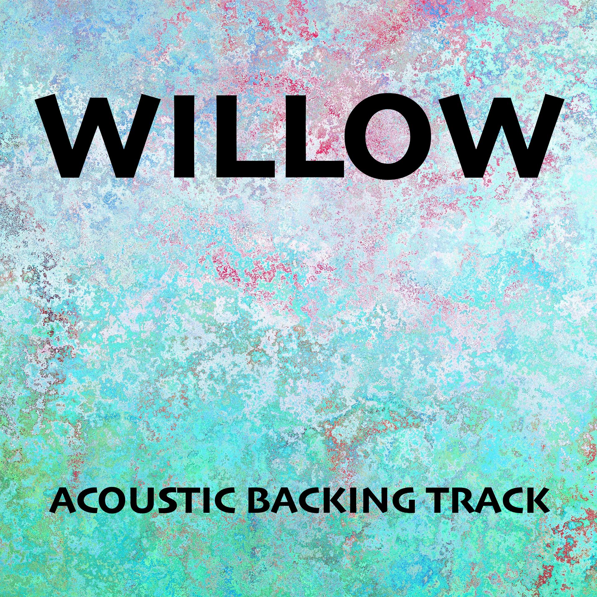 Постер альбома Willow (Acoustic Backing Track)