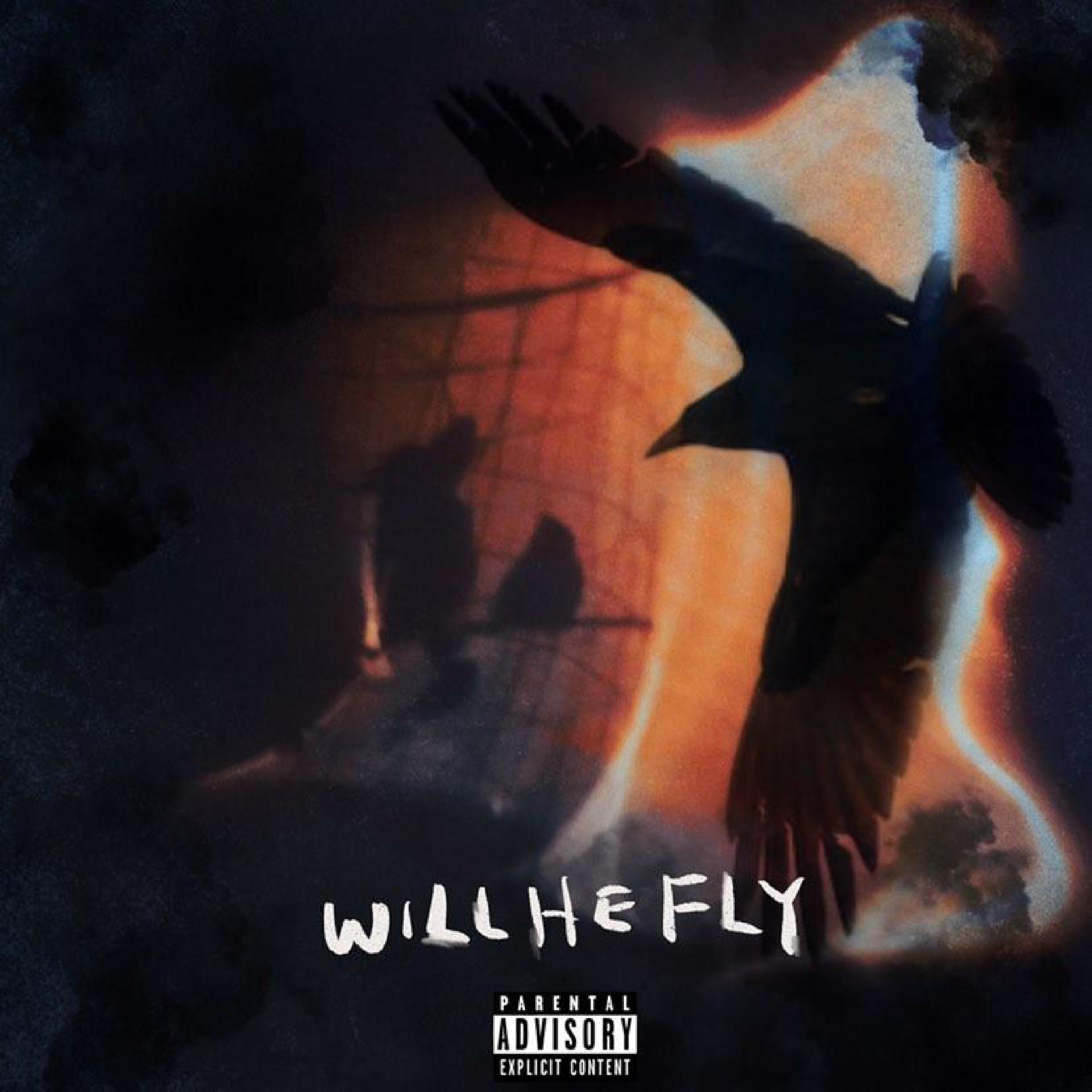 Постер альбома Willhefly