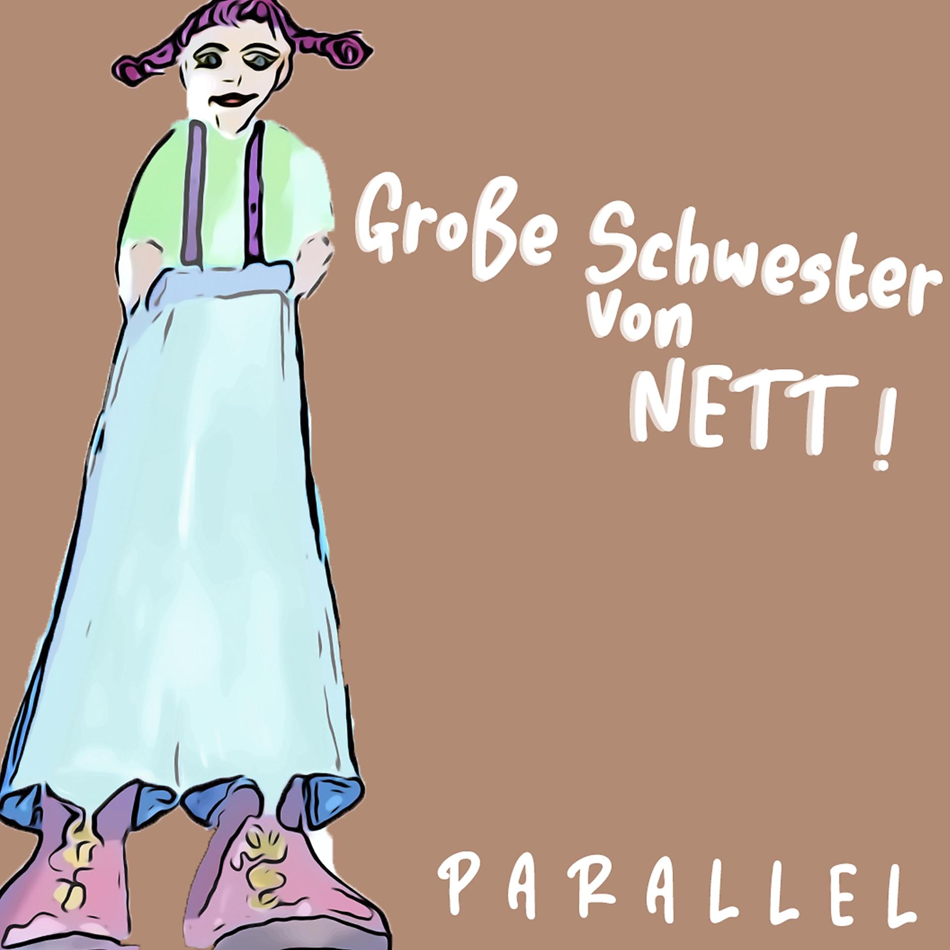 Постер альбома Große Schwester von Nett