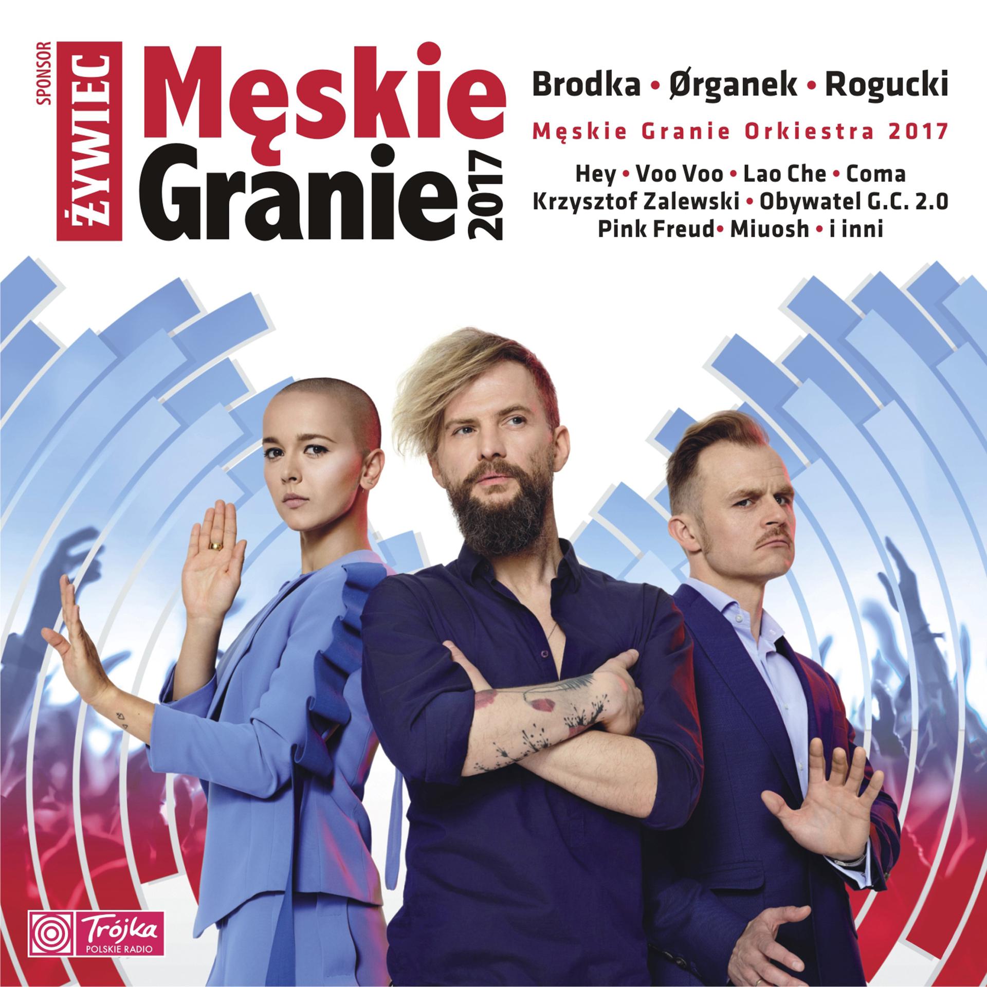 Постер альбома Męskie granie 2017