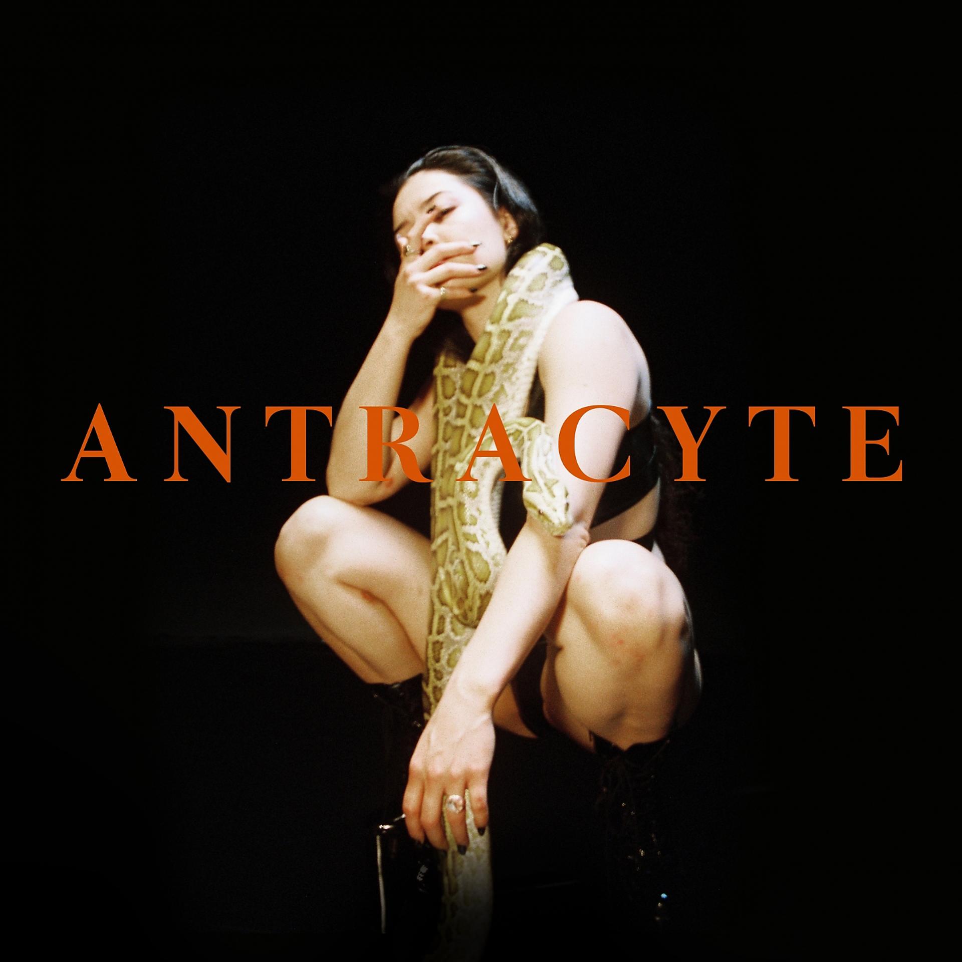 Постер альбома Antracyte