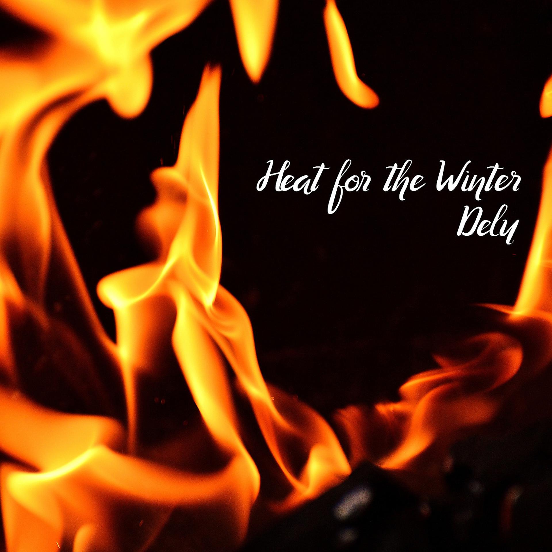 Постер альбома Heat for the Winter