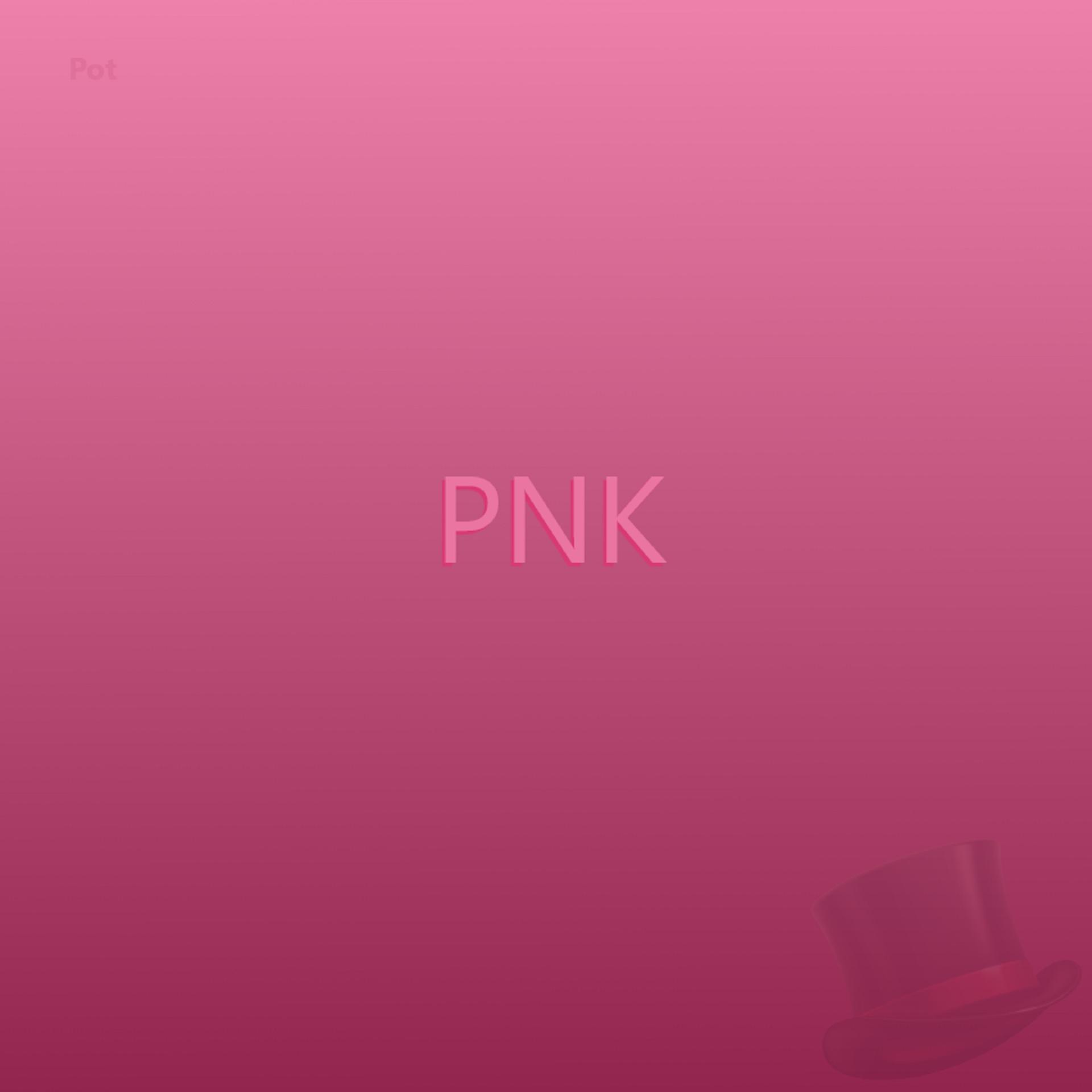 Постер альбома Pnk