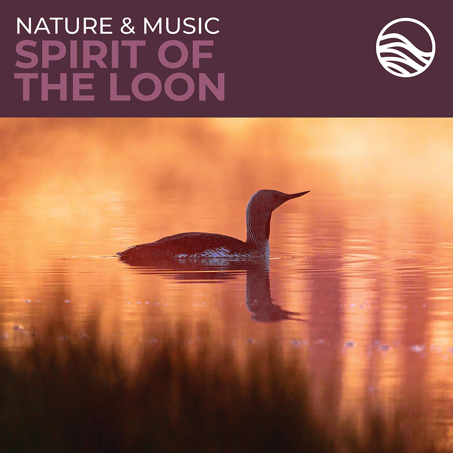 Постер альбома Nature & Music: Spirit Of The Loon