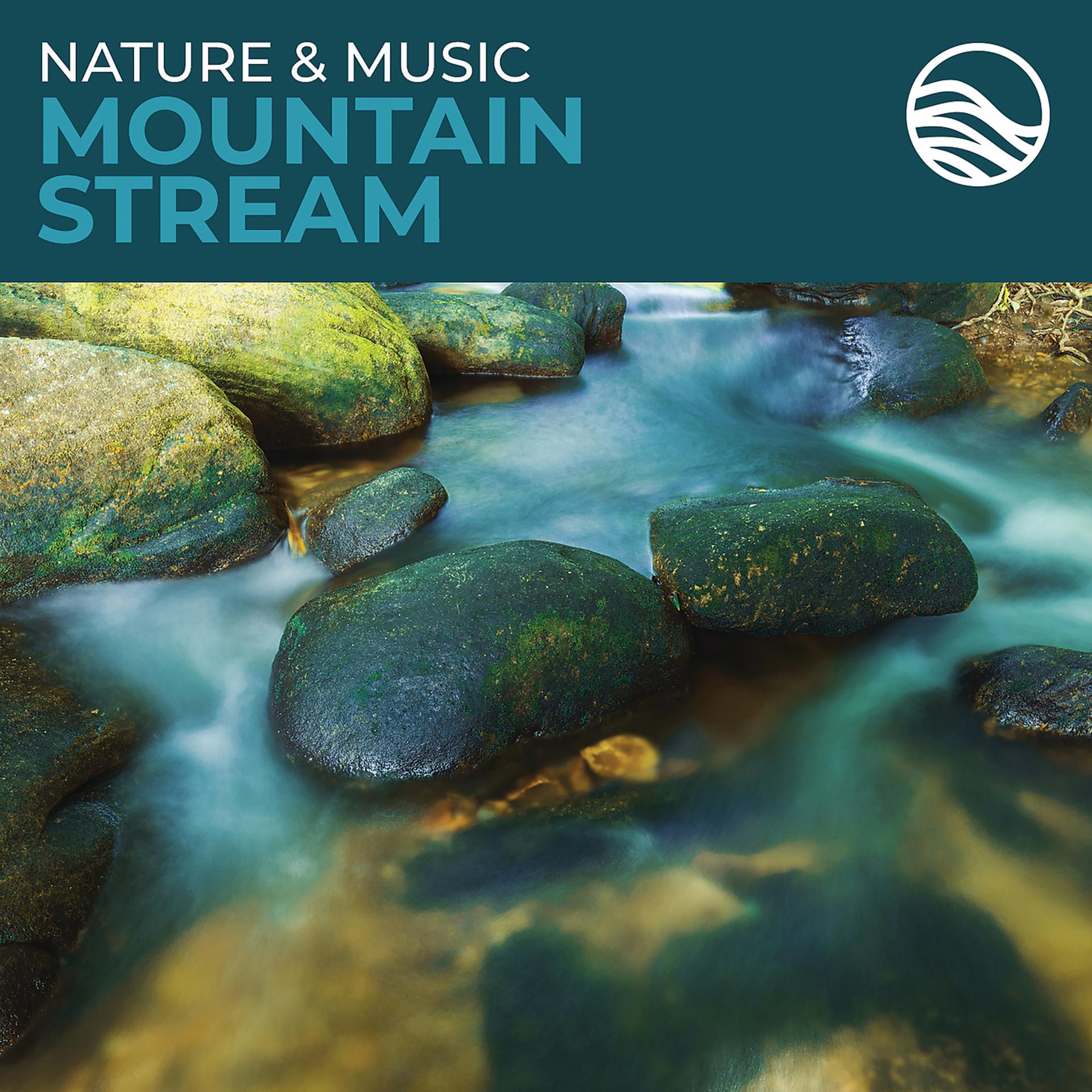 Постер альбома Nature & Music: Mountain Stream