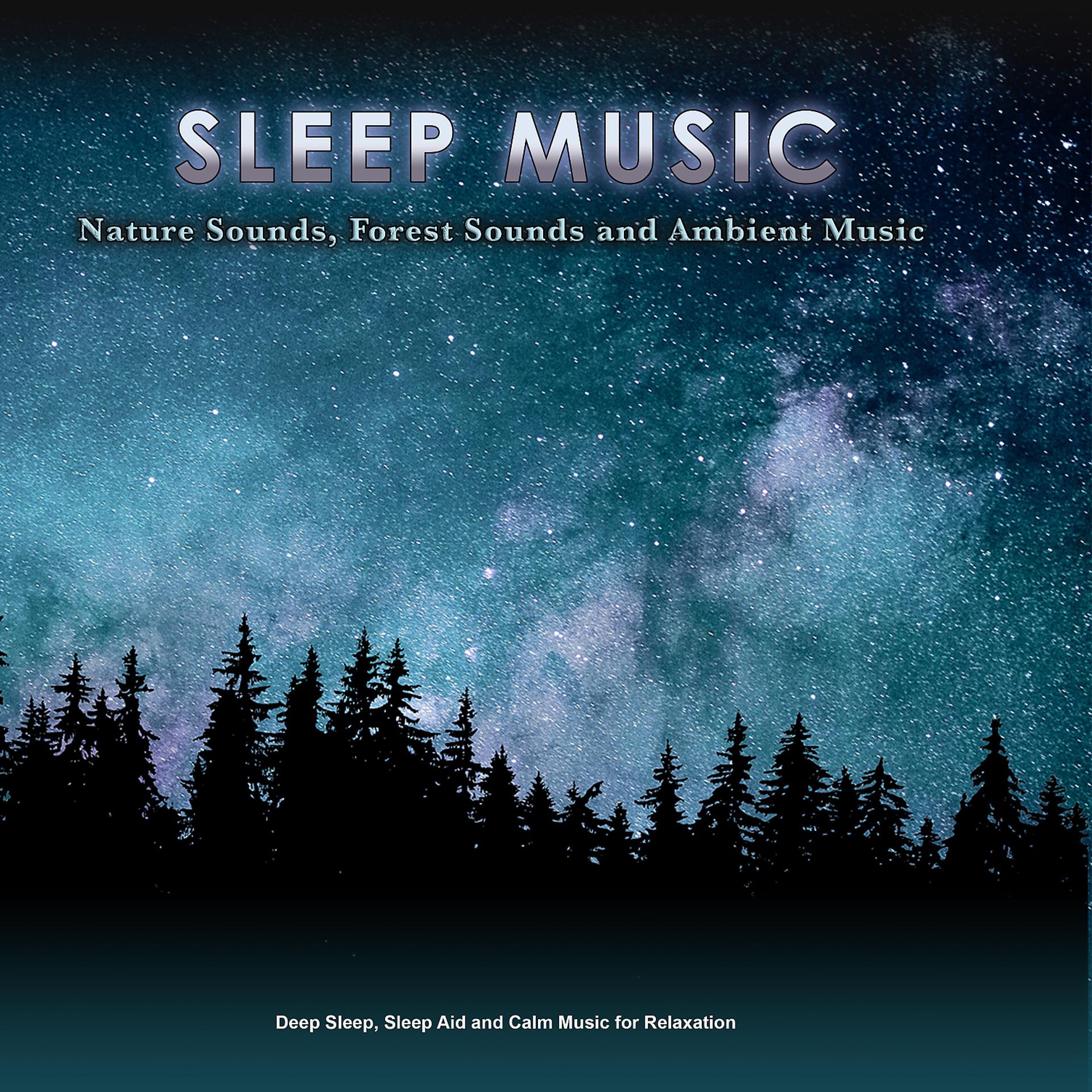 Постер альбома Sleep Music: Nature Sounds, Forest Sounds and Ambient Music for Sleeping, Deep Sleep, Sleep Aid and Calm Music for Relaxation