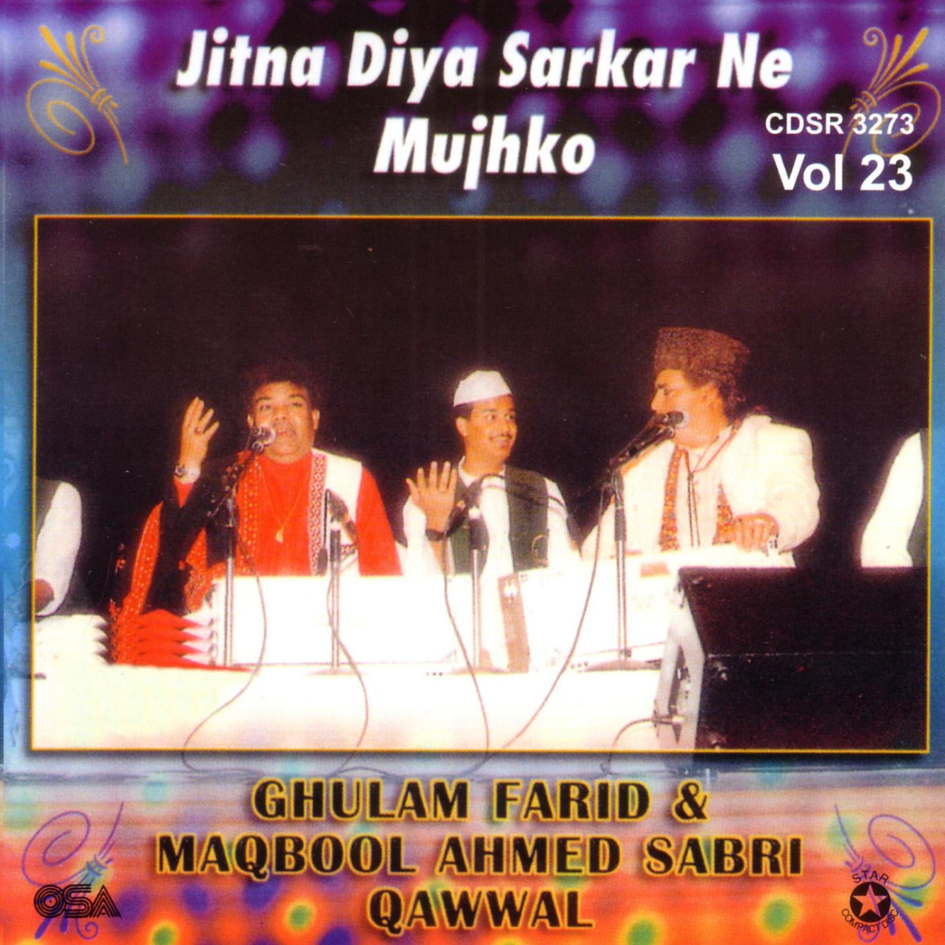 Постер альбома Jitna Diya Sarkar Ne Mujhko
