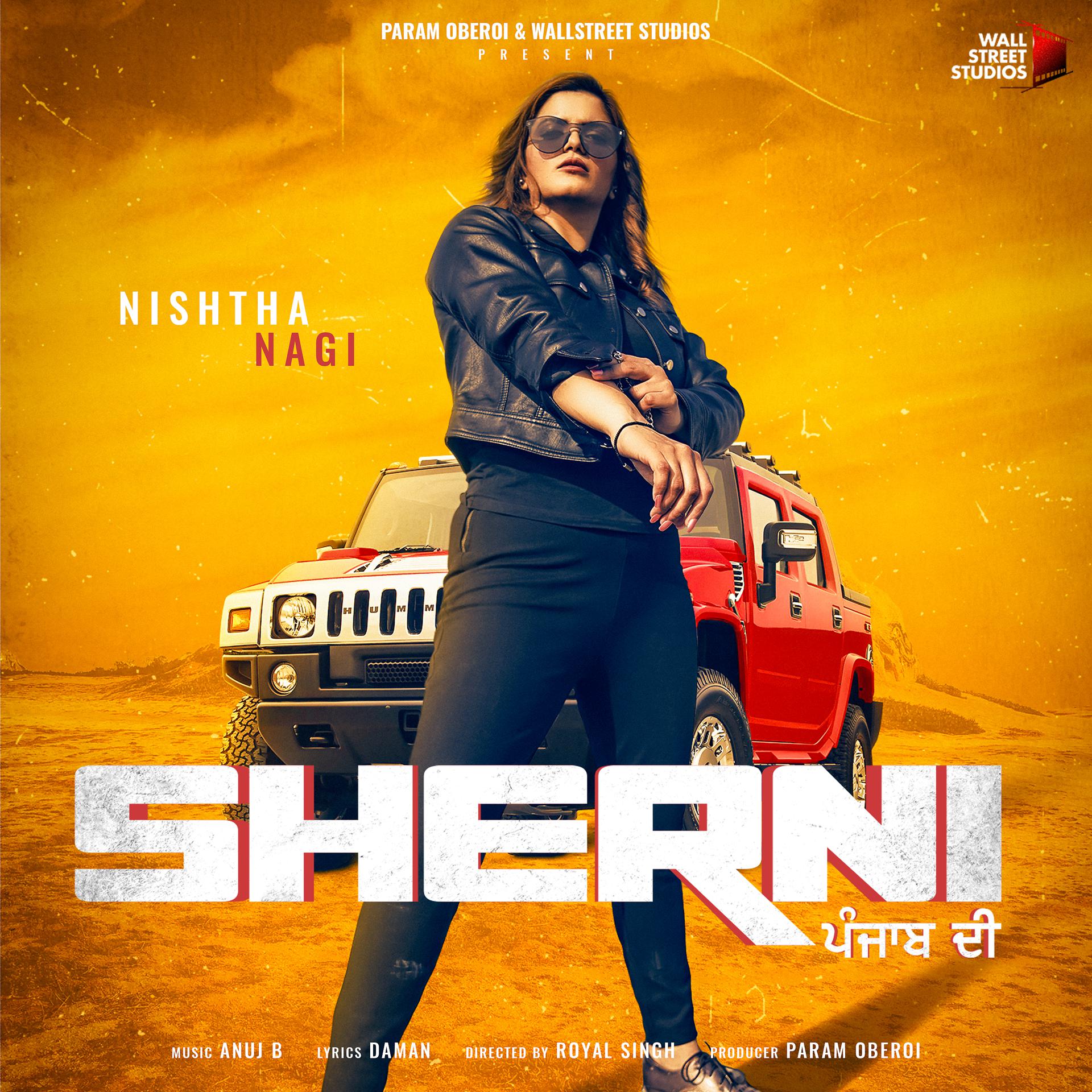 Постер альбома Sherni Punjabi Di