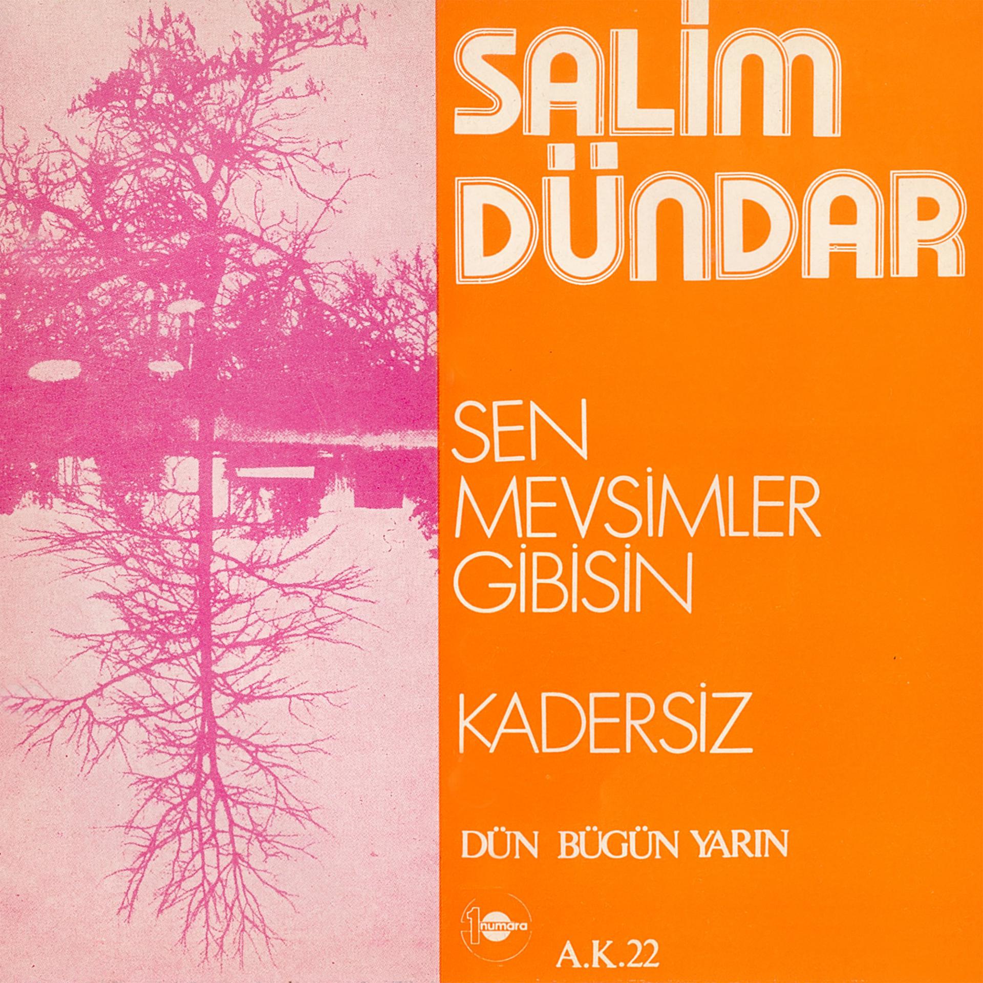 Постер альбома Sen Mevsimler Gibisin / Kadersiz
