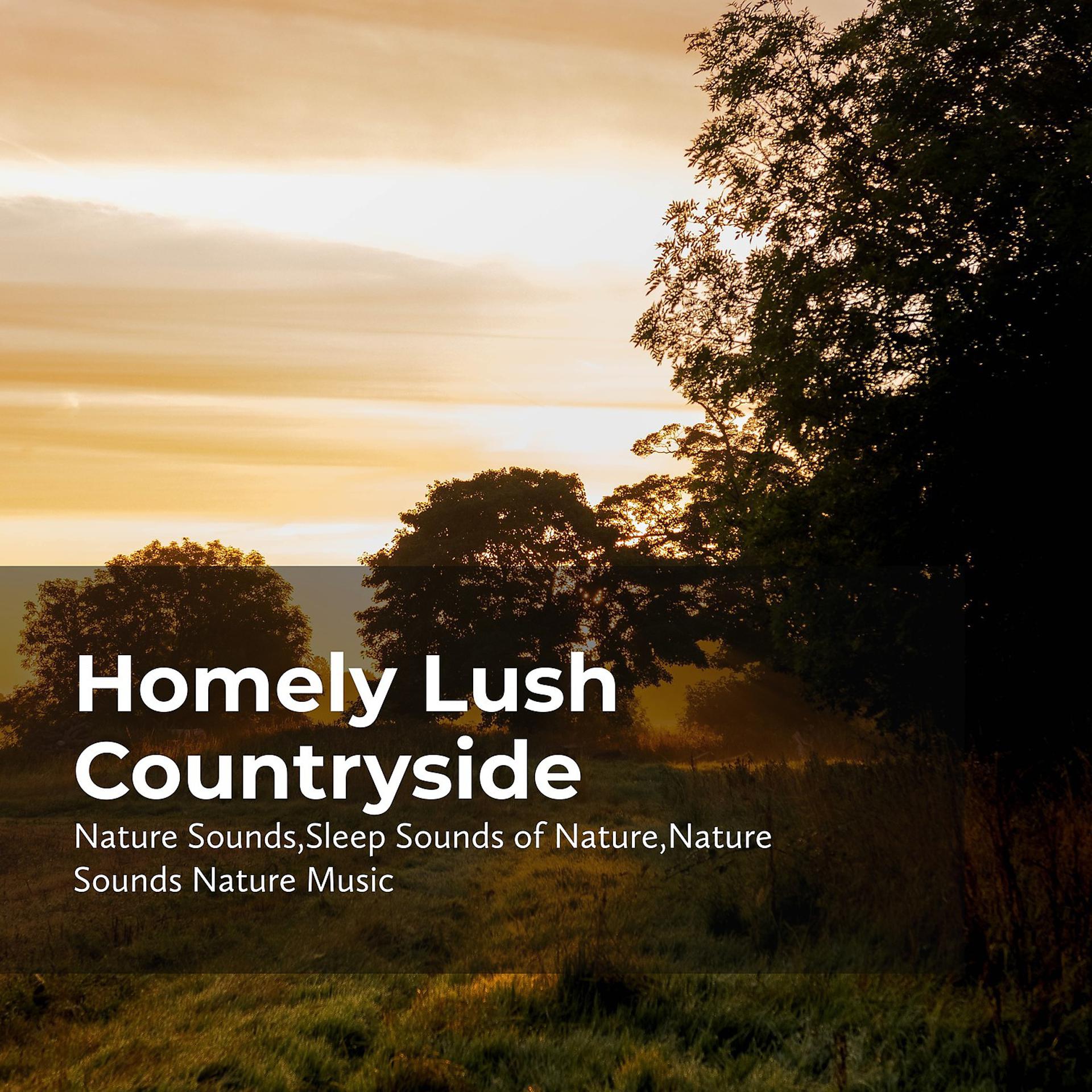 Постер альбома Homely Lush Countryside
