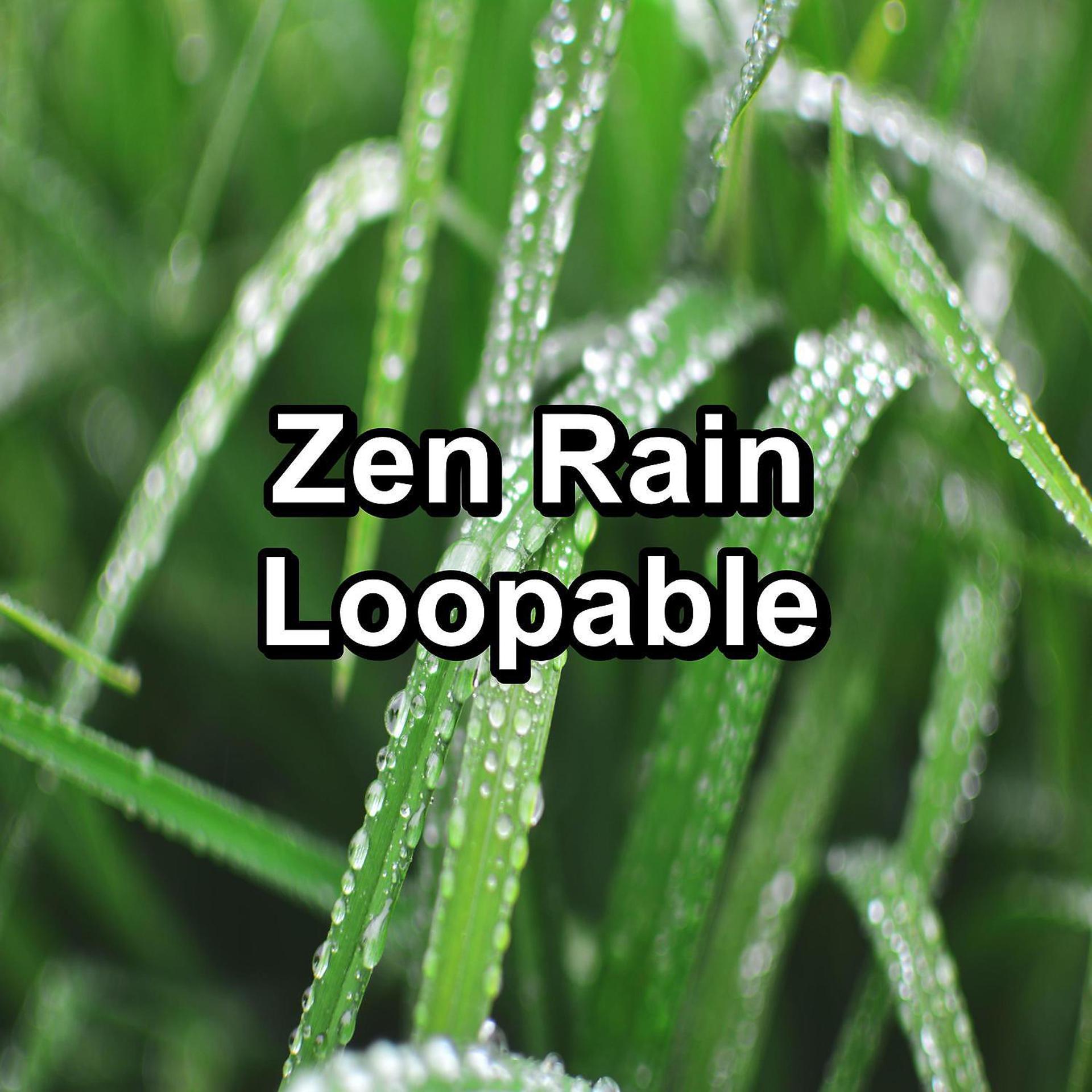 Постер альбома Zen Rain Loopable