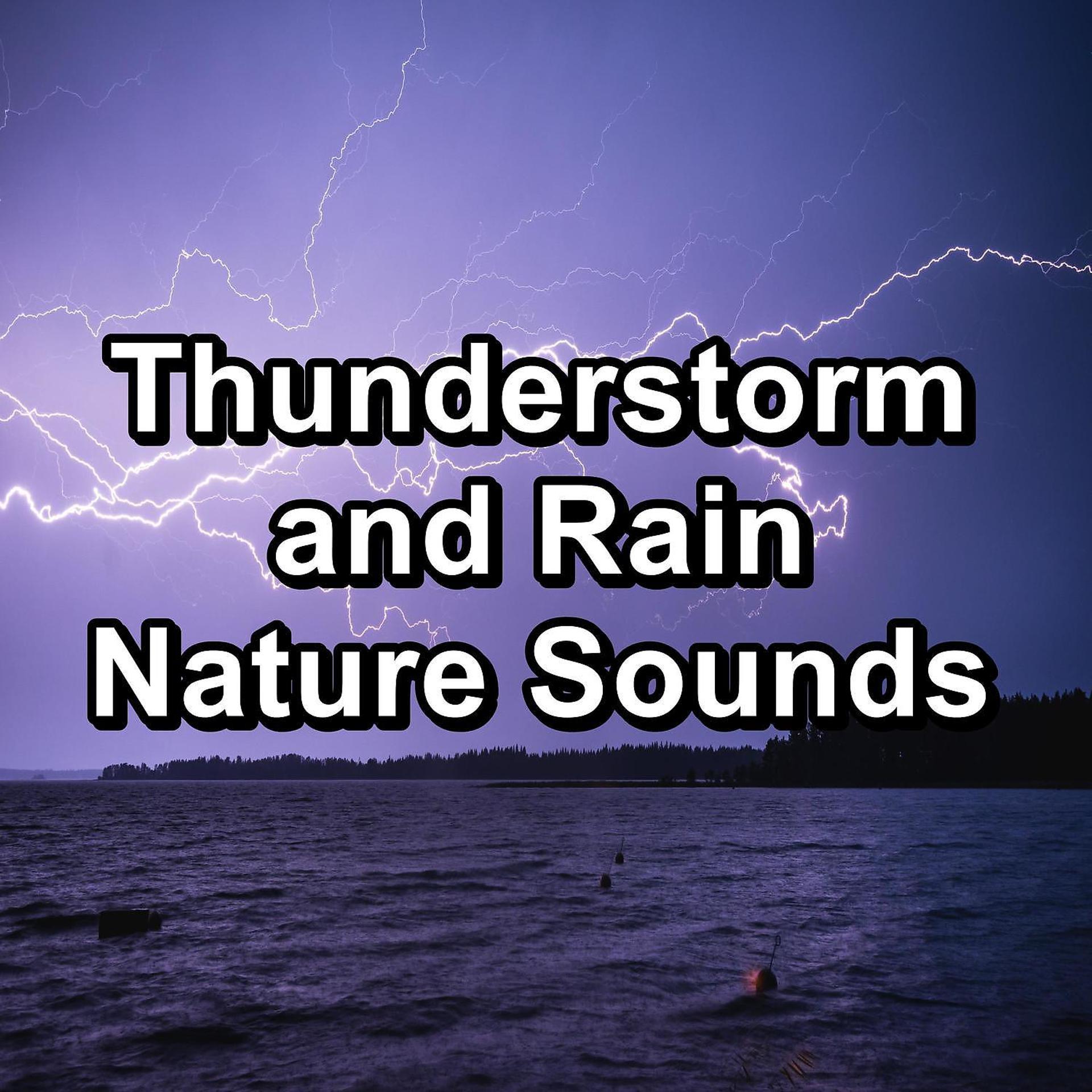 Постер альбома Thunderstorm and Rain Nature Sounds