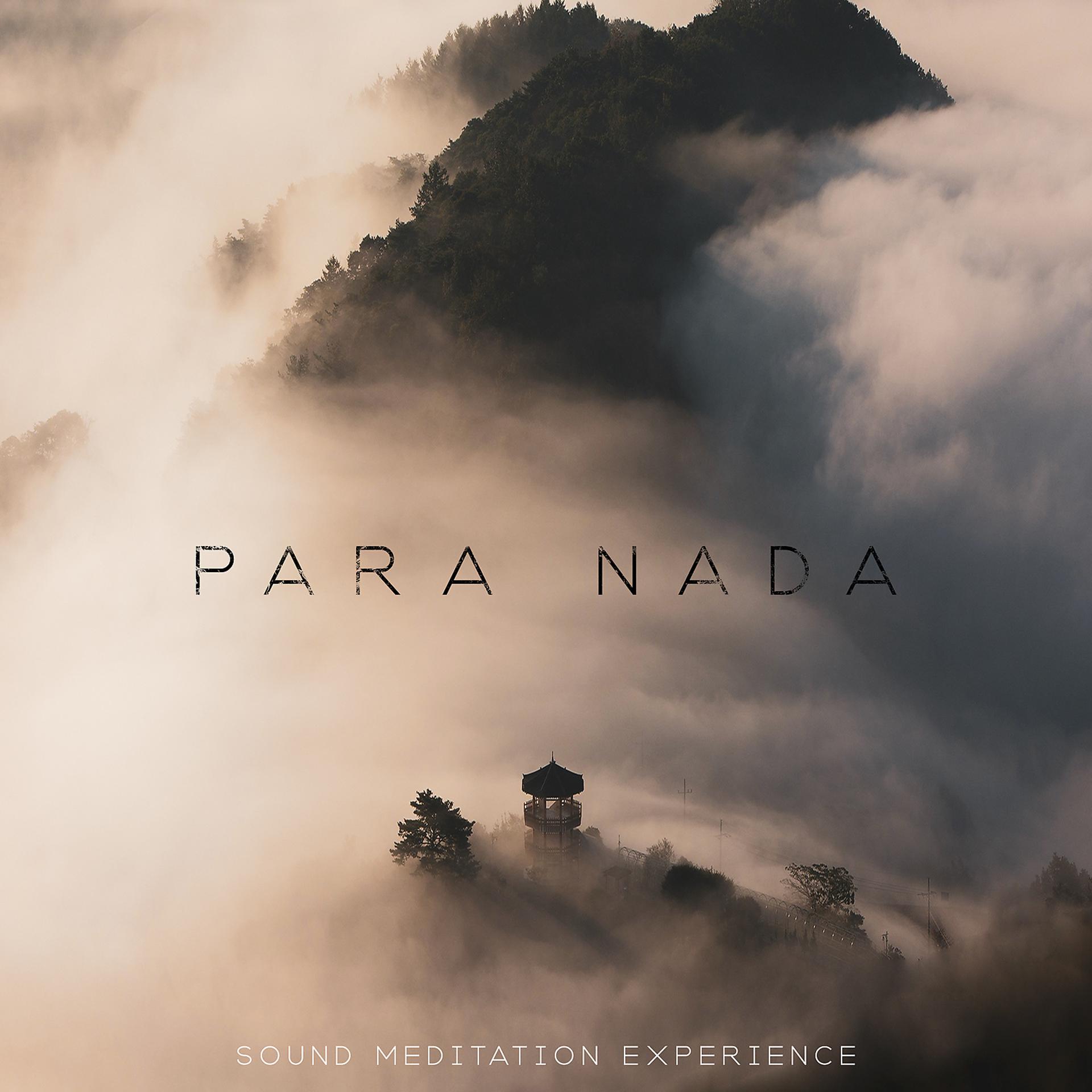 Постер альбома Para Nada: Sound Meditation Experience
