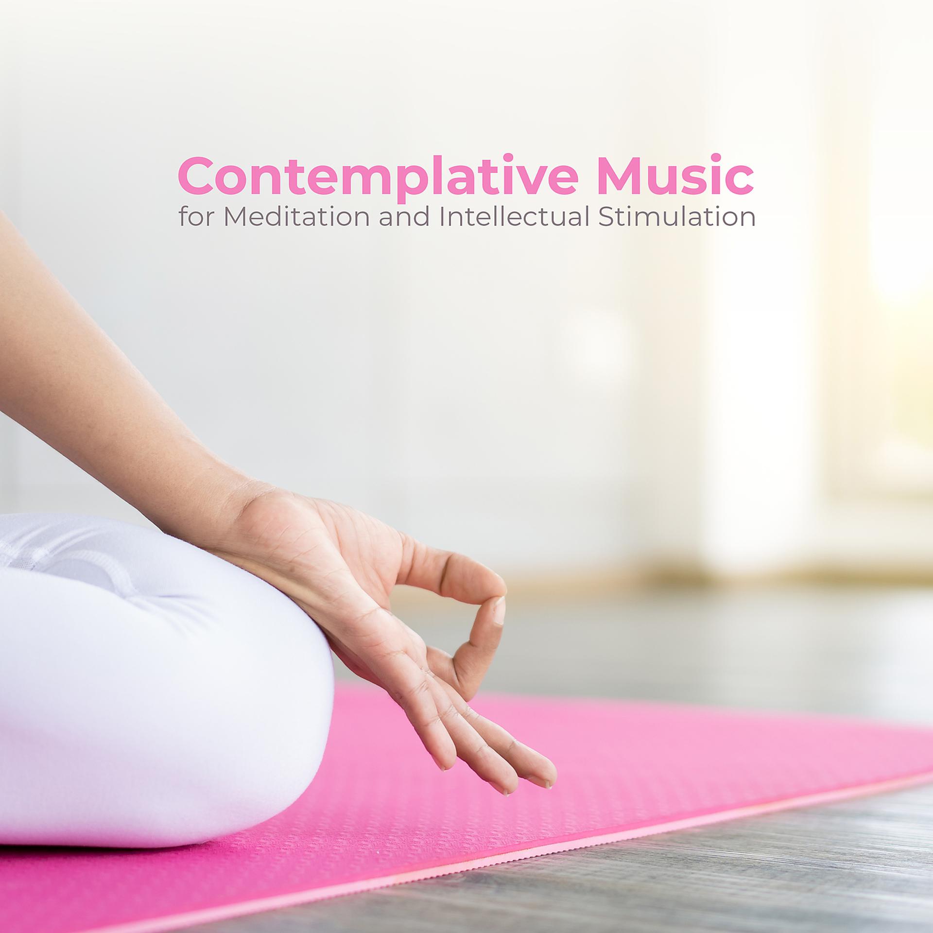 Постер альбома Contemplative Music for Meditation and Intellectual Stimulation
