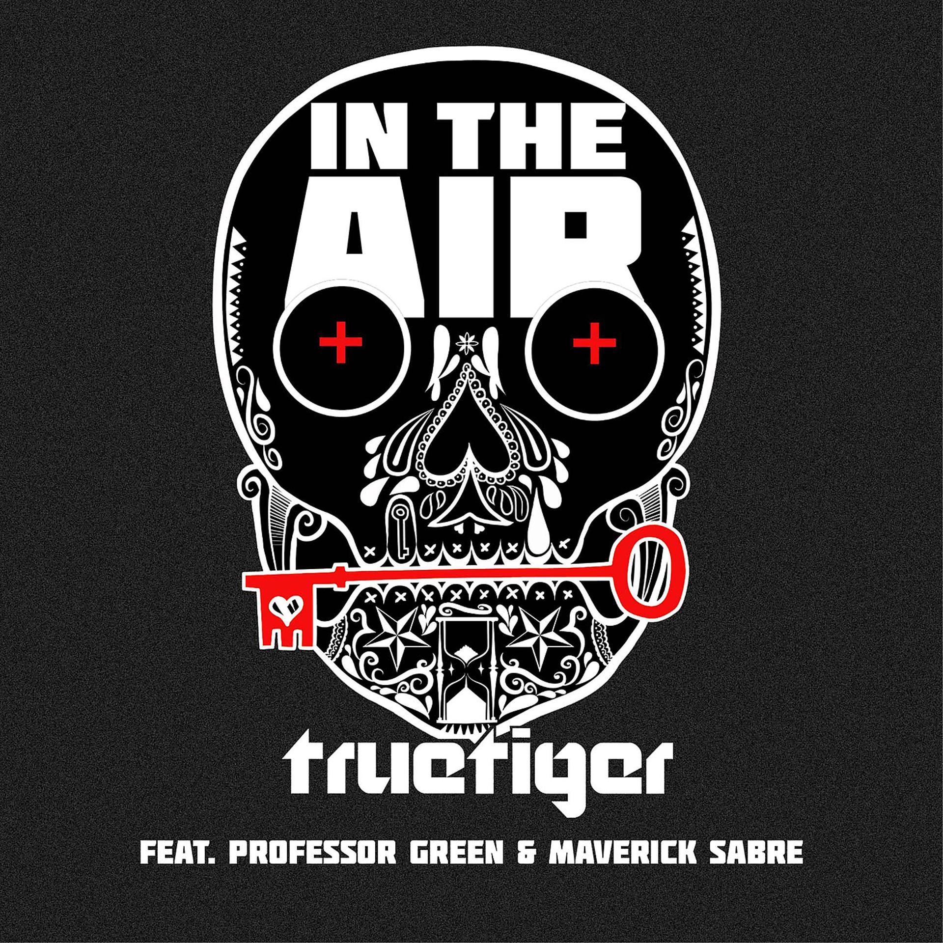 Постер альбома In The Air (feat. Professor Green & Maverick Sabre)