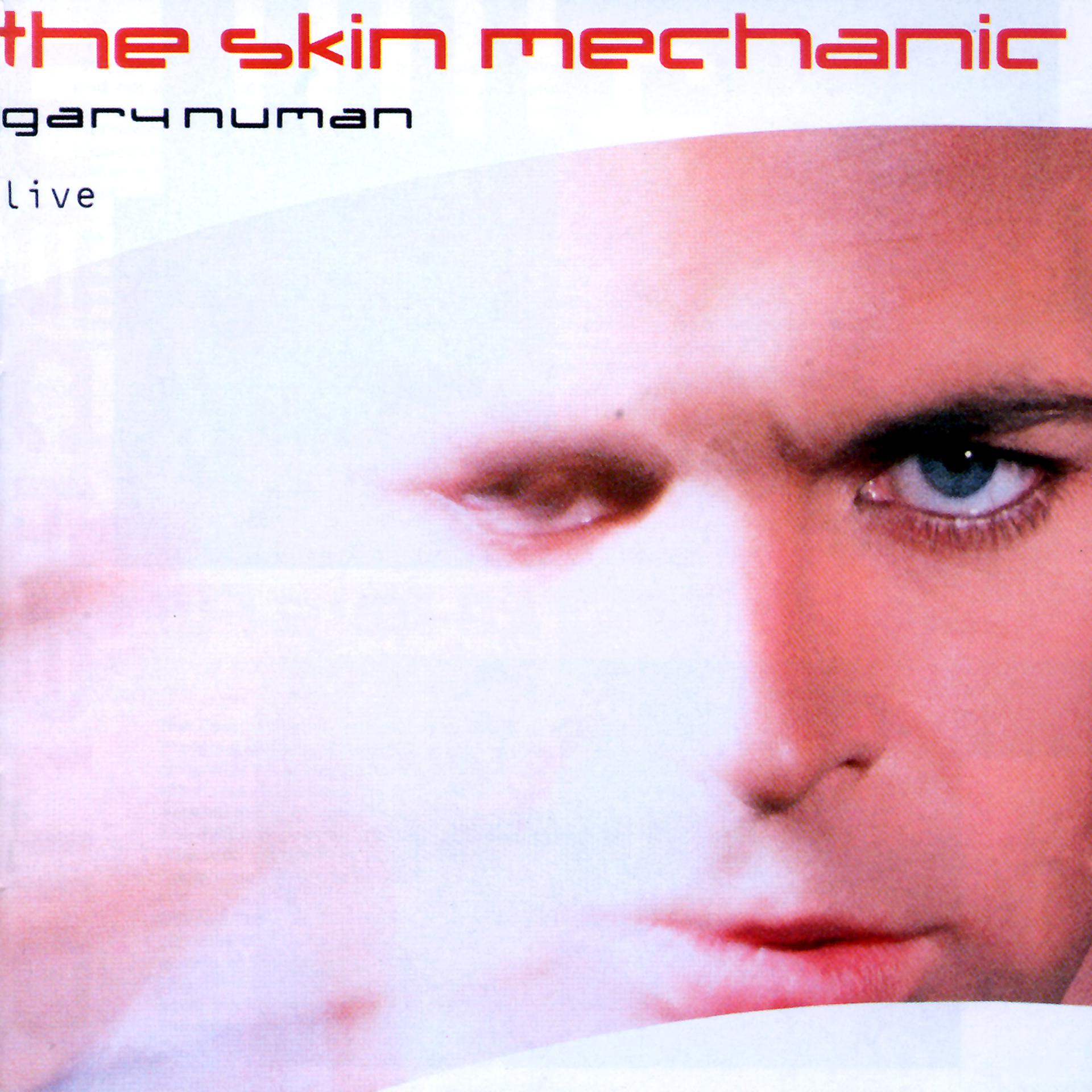 Постер альбома The Skin Mechanic