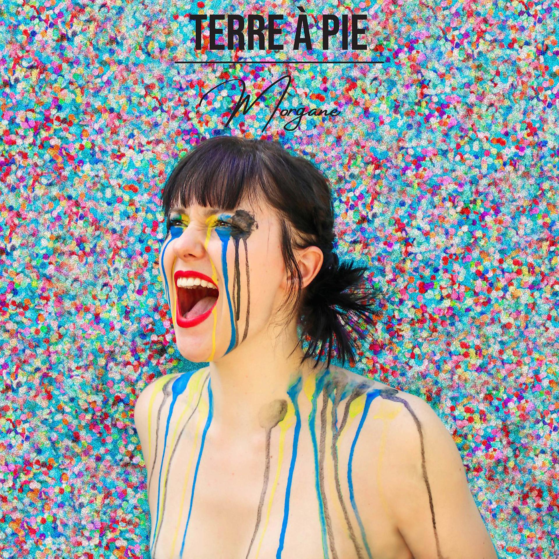 Постер альбома Terre à Pie