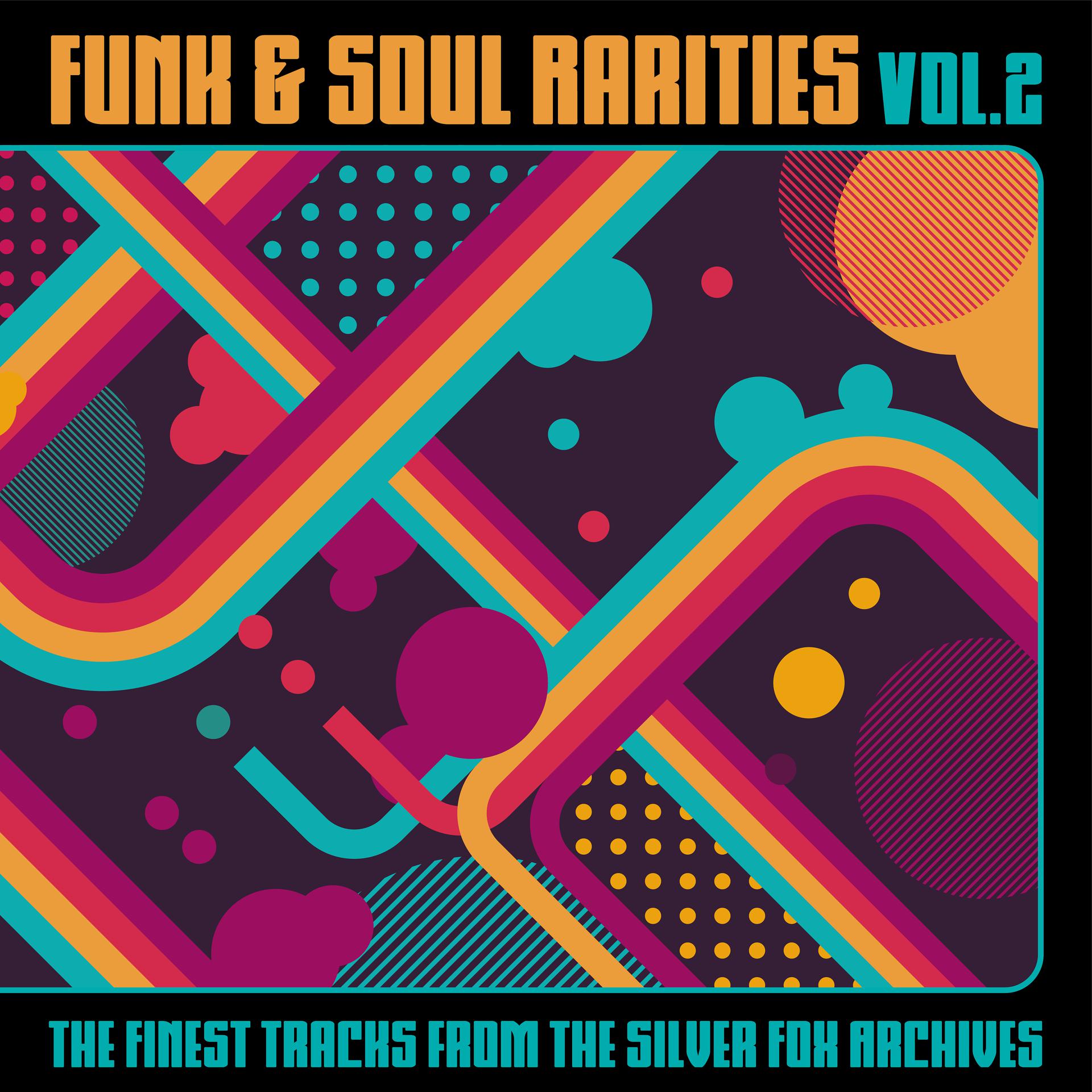 Постер альбома Funk & Soul Rarities: The Finest Tracks from the Silver Fox Archives, Vol. 2