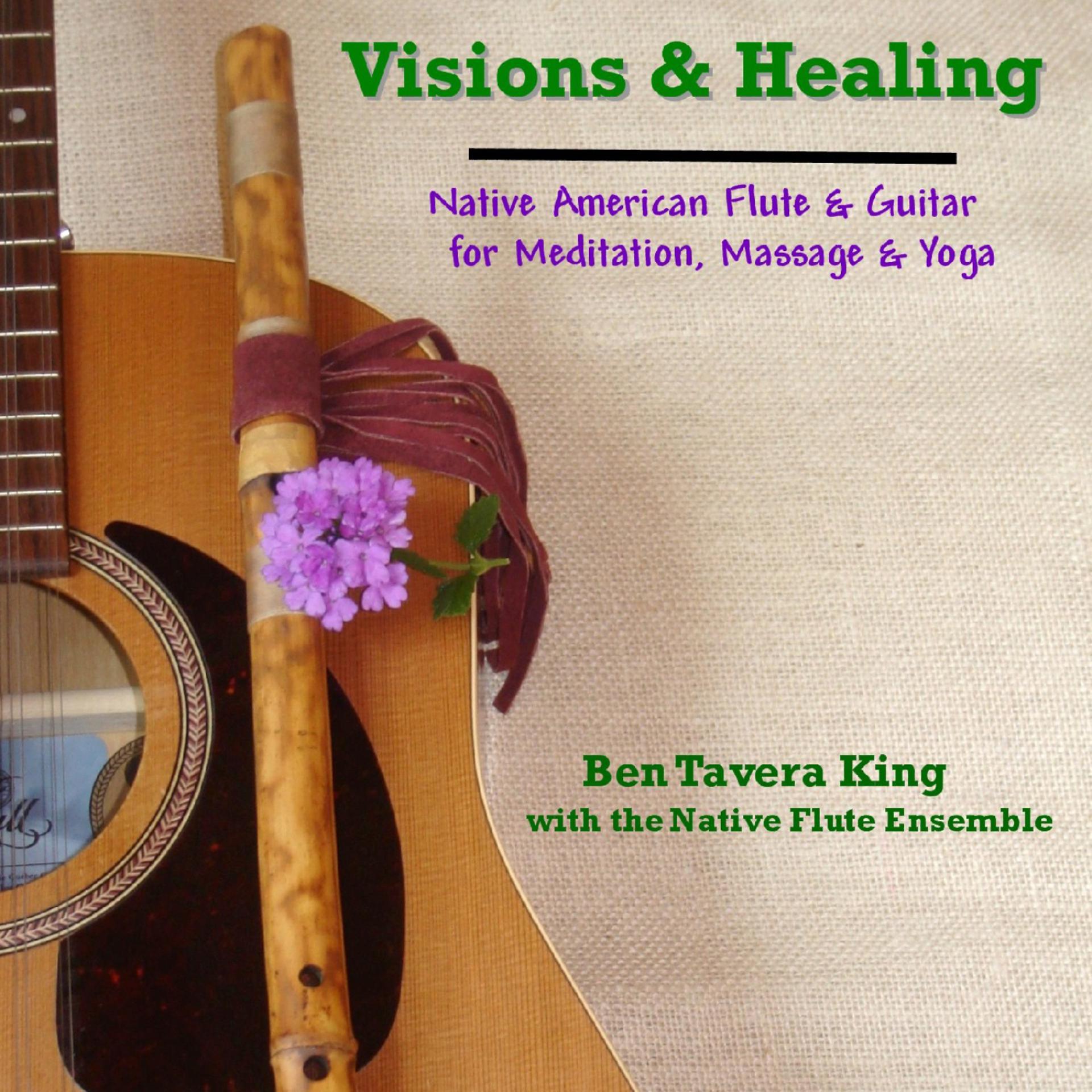 Постер альбома Visions & Healing: Native American Flute & Guitar for Meditation, Massage & Yoga