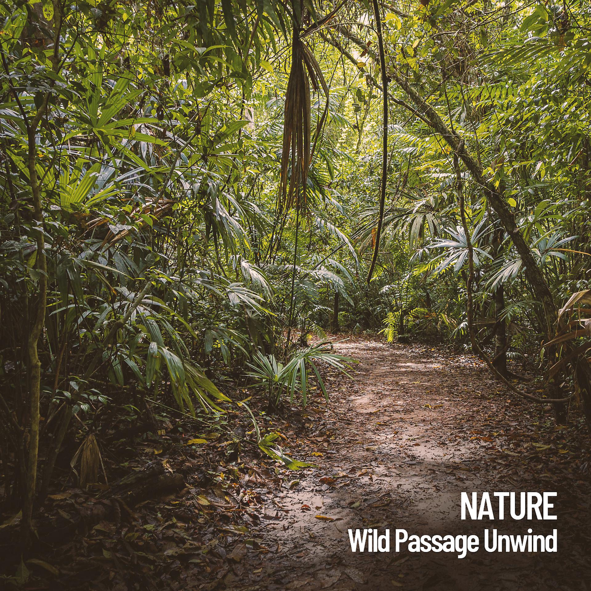 Постер альбома Nature: Wild Passage Unwind