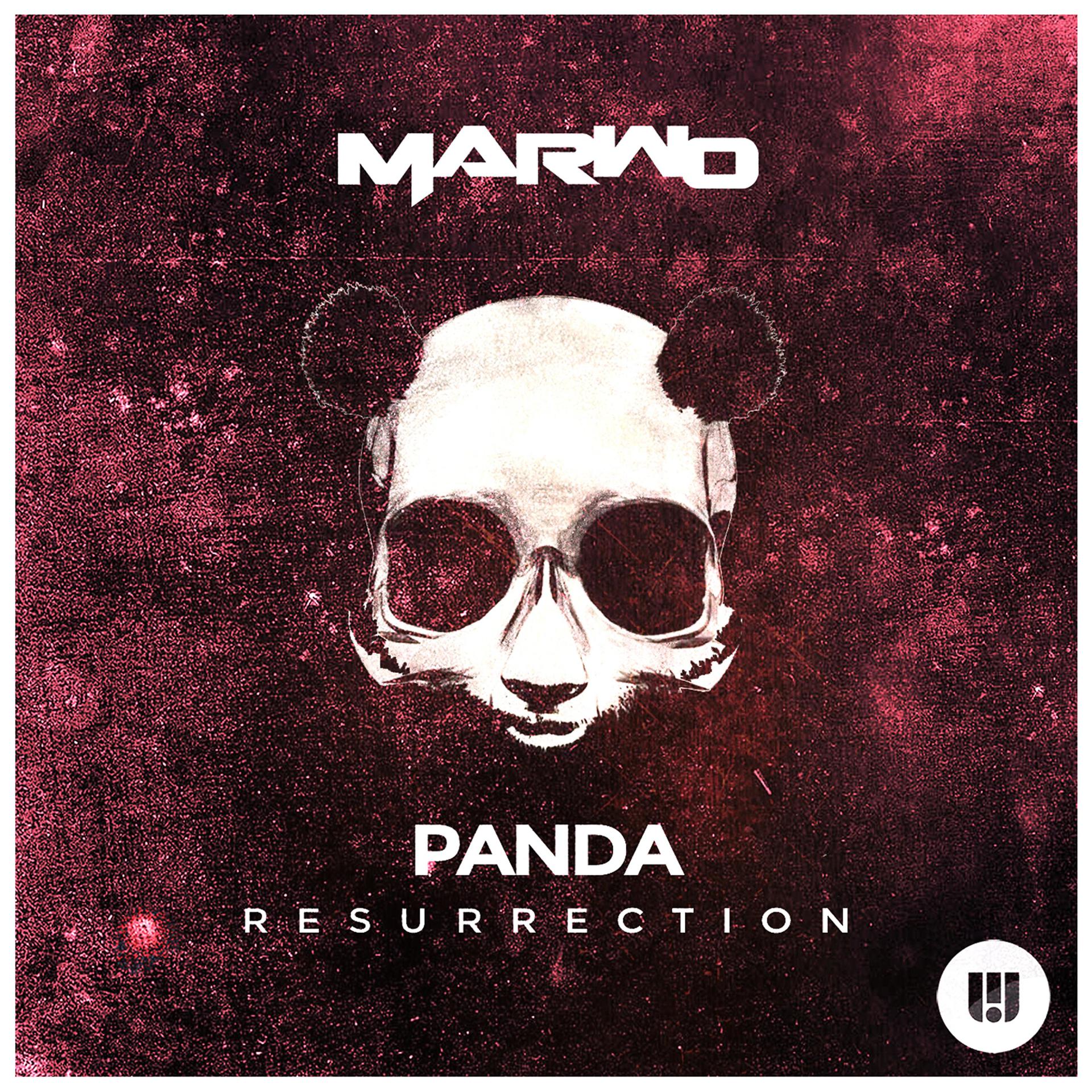 Постер альбома Panda (Resurrection)