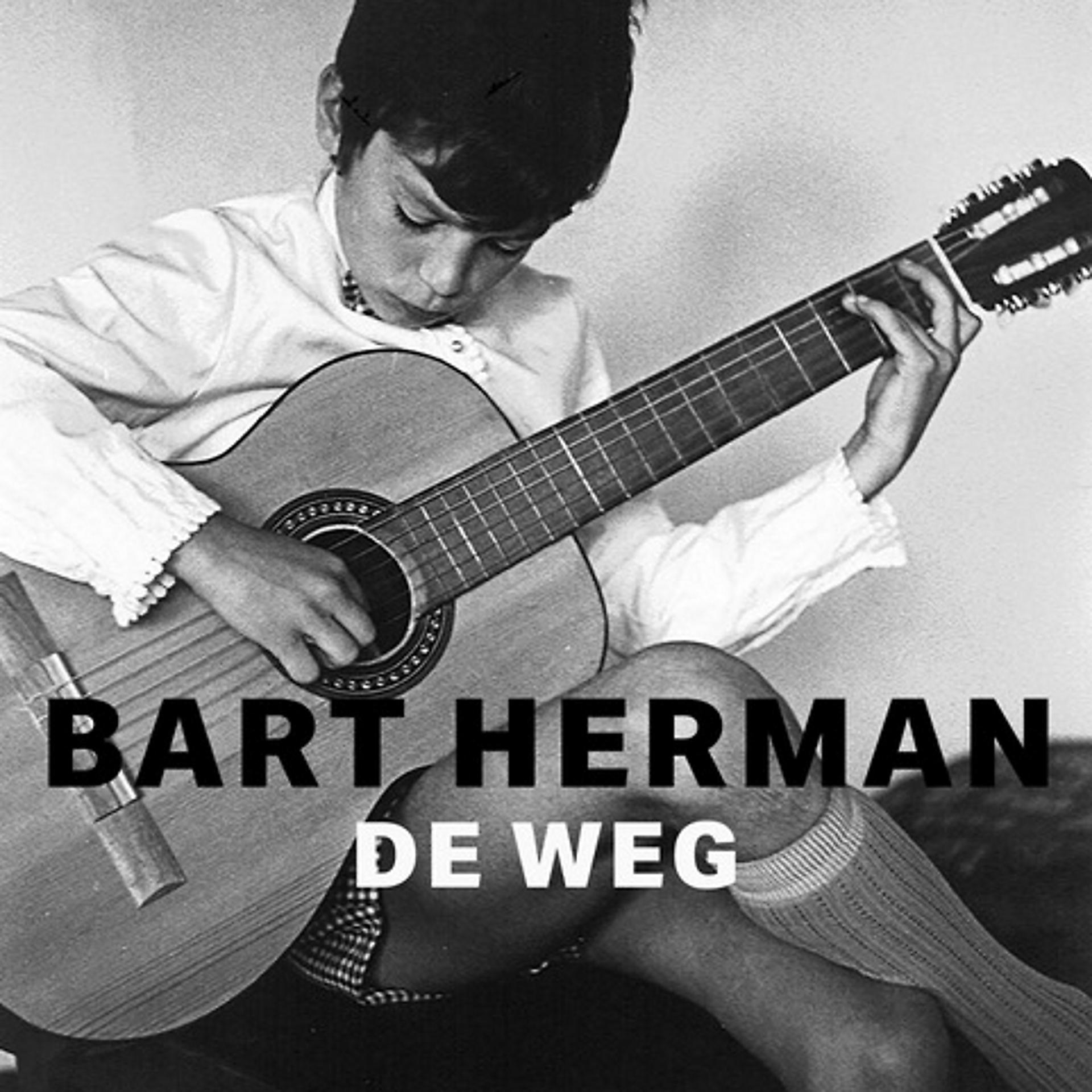 Постер альбома De Weg