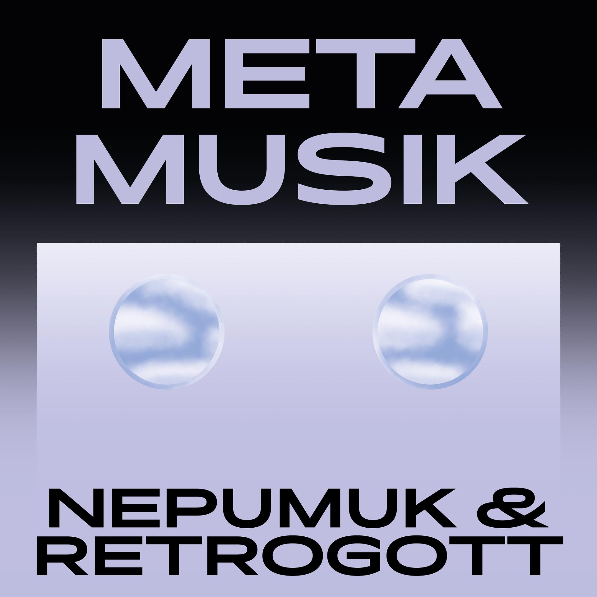 Постер альбома Metamusik
