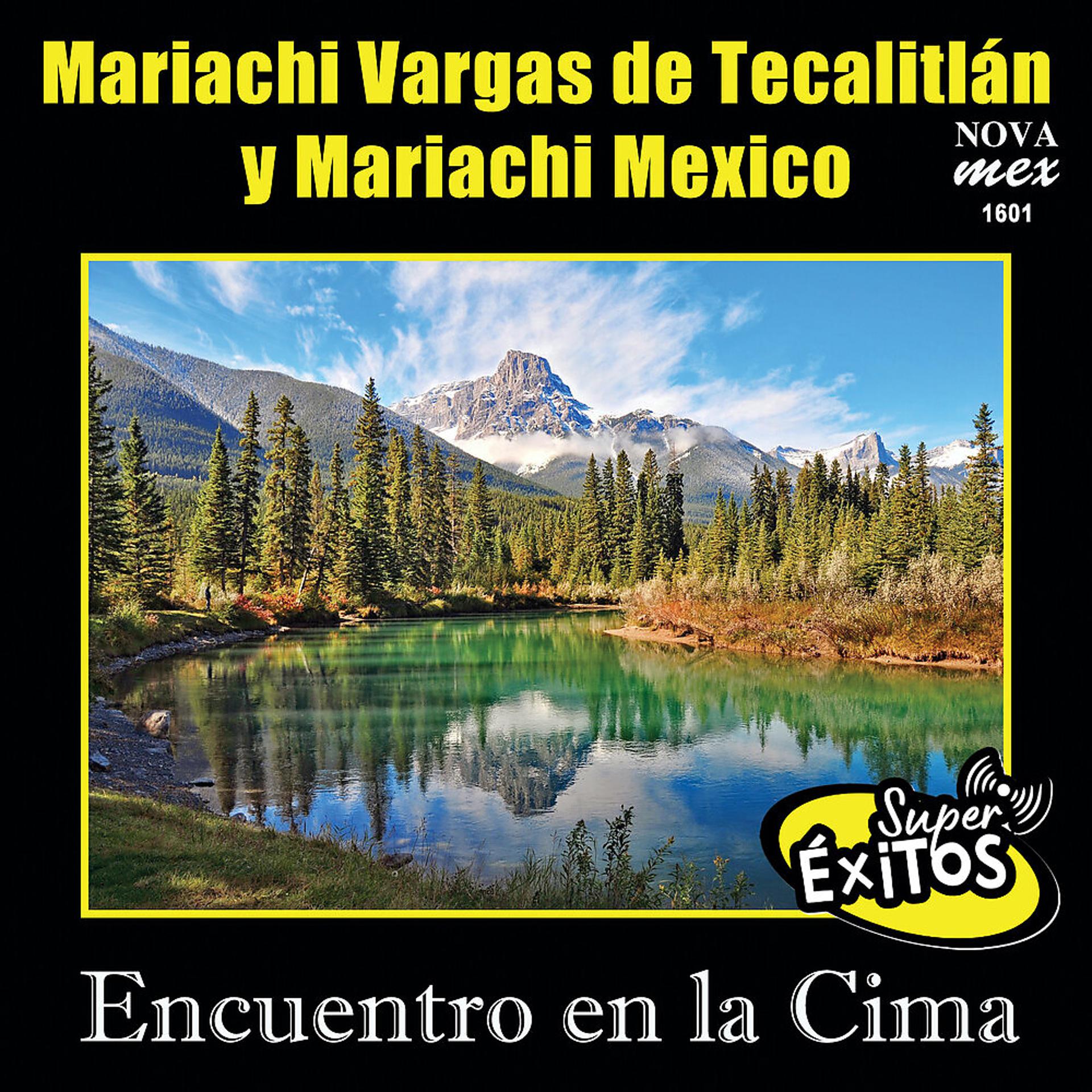 Постер альбома Encuentro En La Cima-Super Éxitos