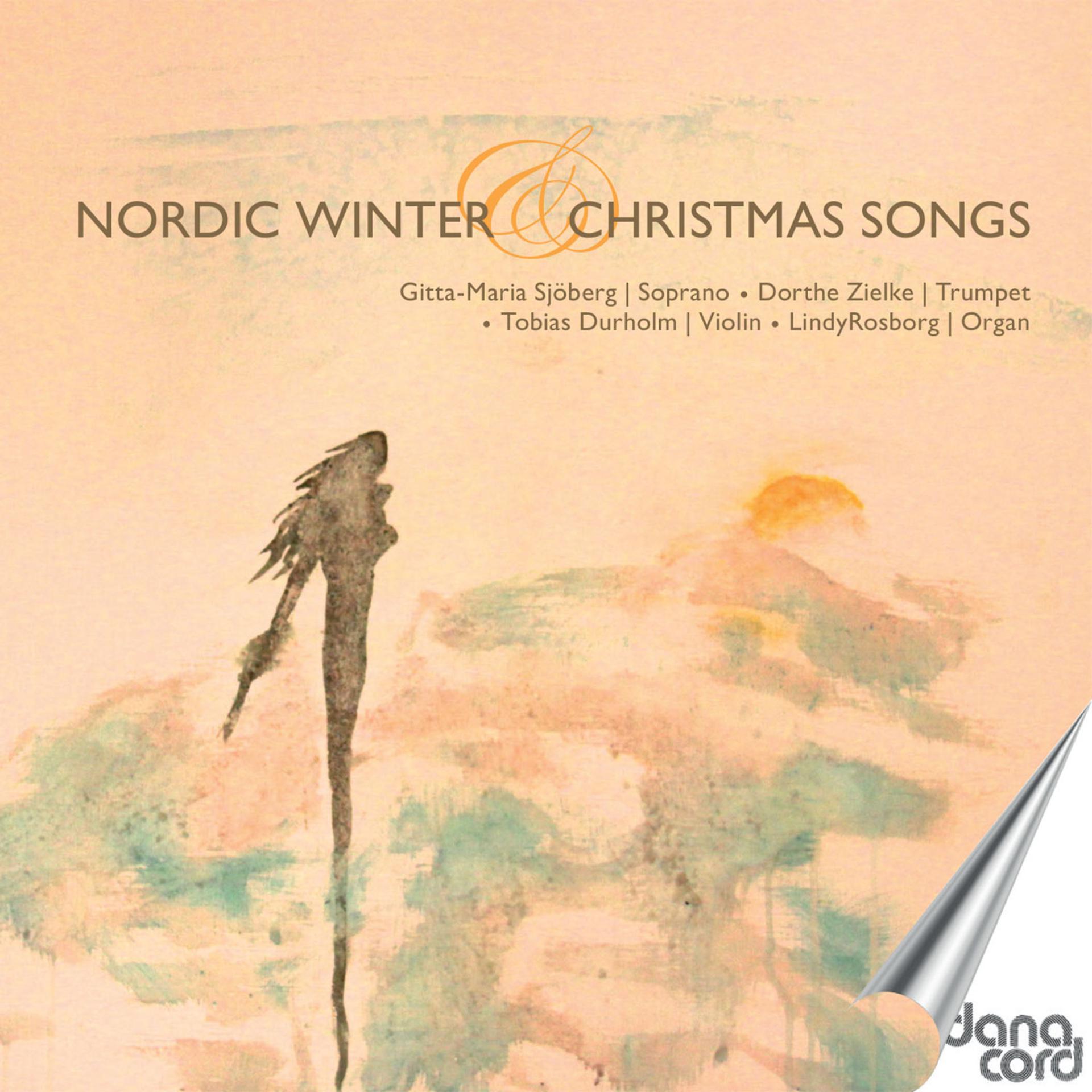 Постер альбома Nordic Winter - Christmas Songs